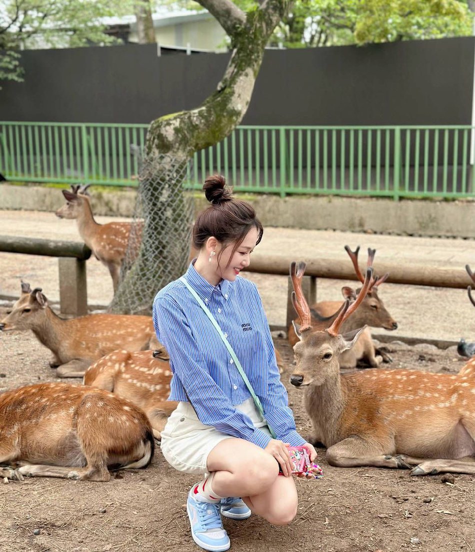 组图:陈乔恩晒与小鹿合拍俏皮可爱 扎丸子头少女感十足