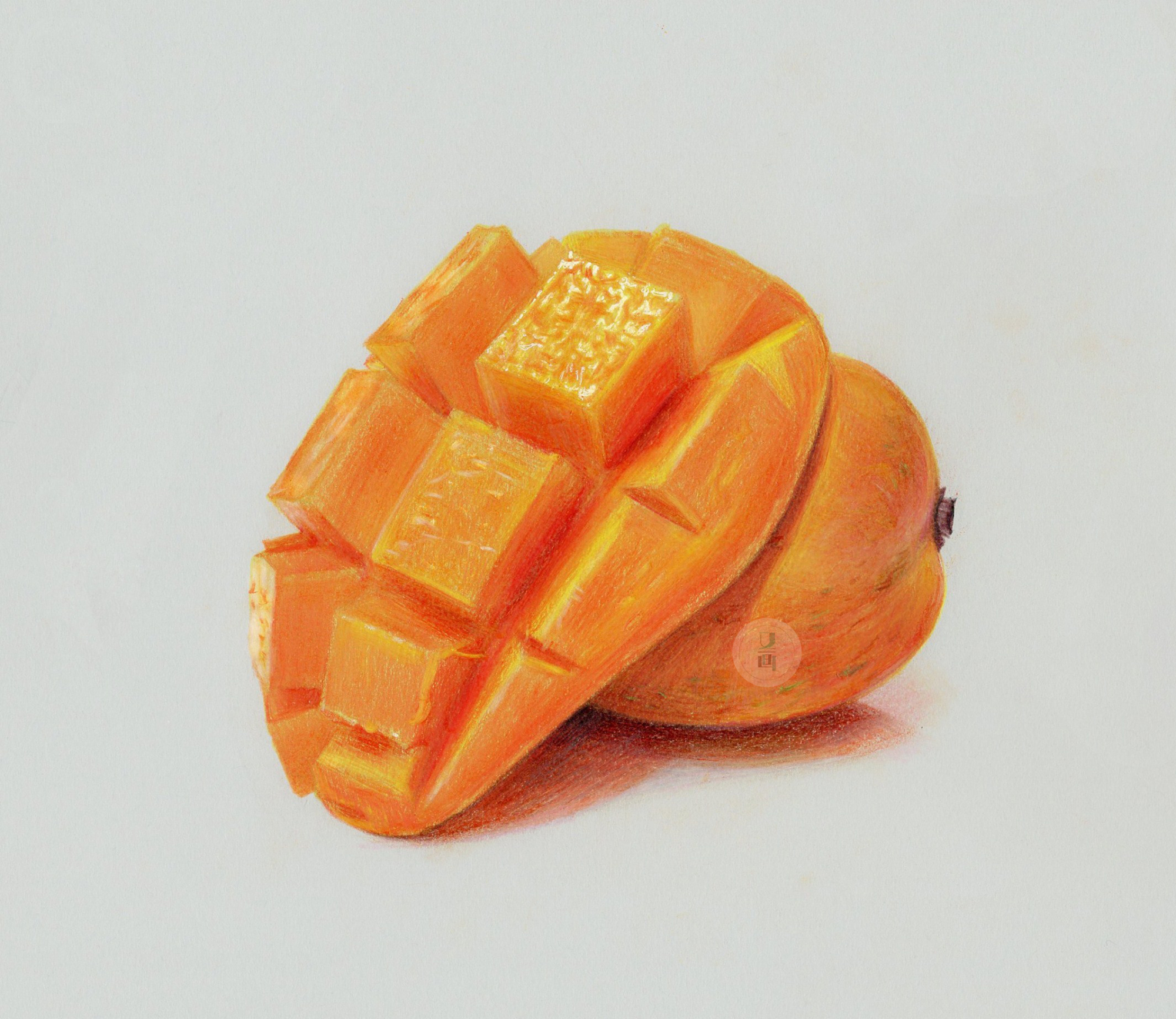 彩铅 水果写实绘画合集