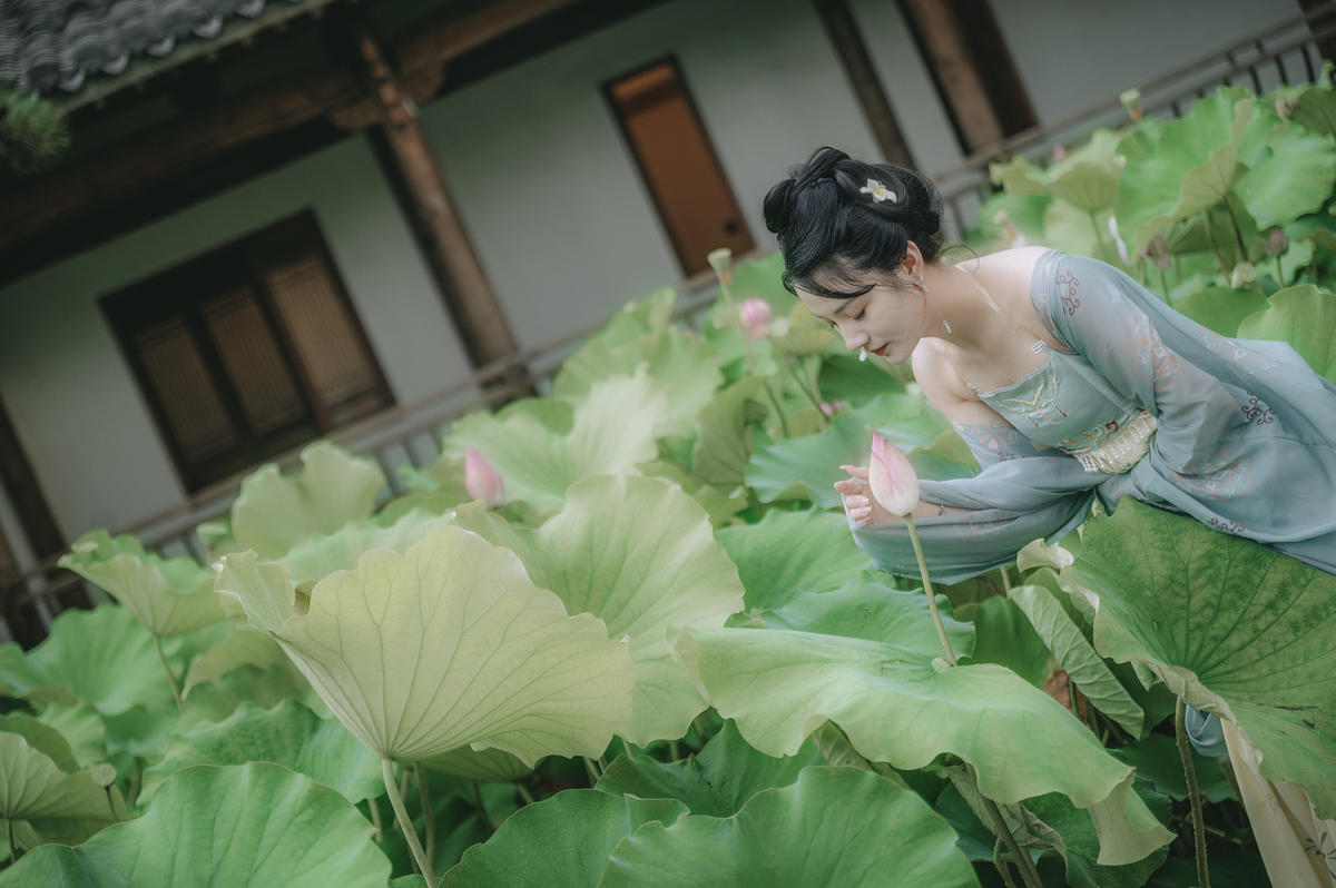 古风荷韵~一组z6 ii拍摄的夏季古风荷塘作品分享