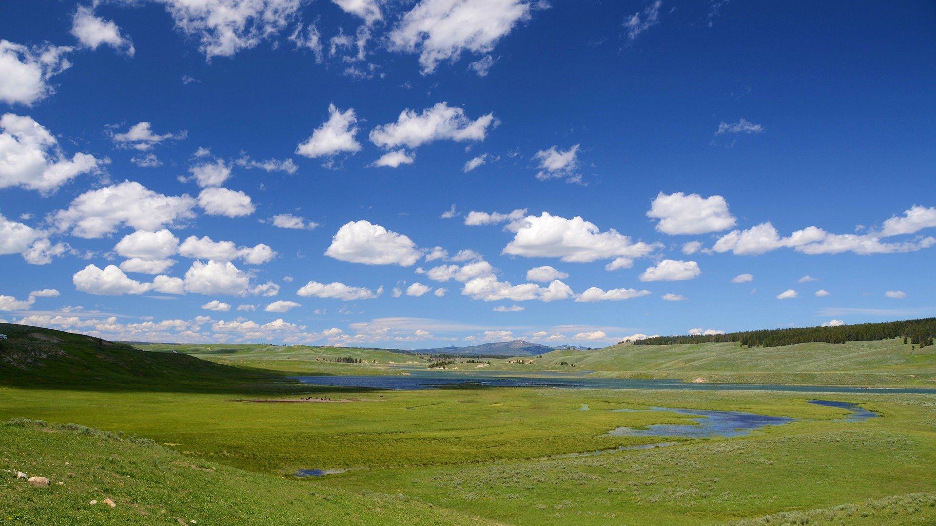 让人一看就心情舒畅的原野风光壁纸