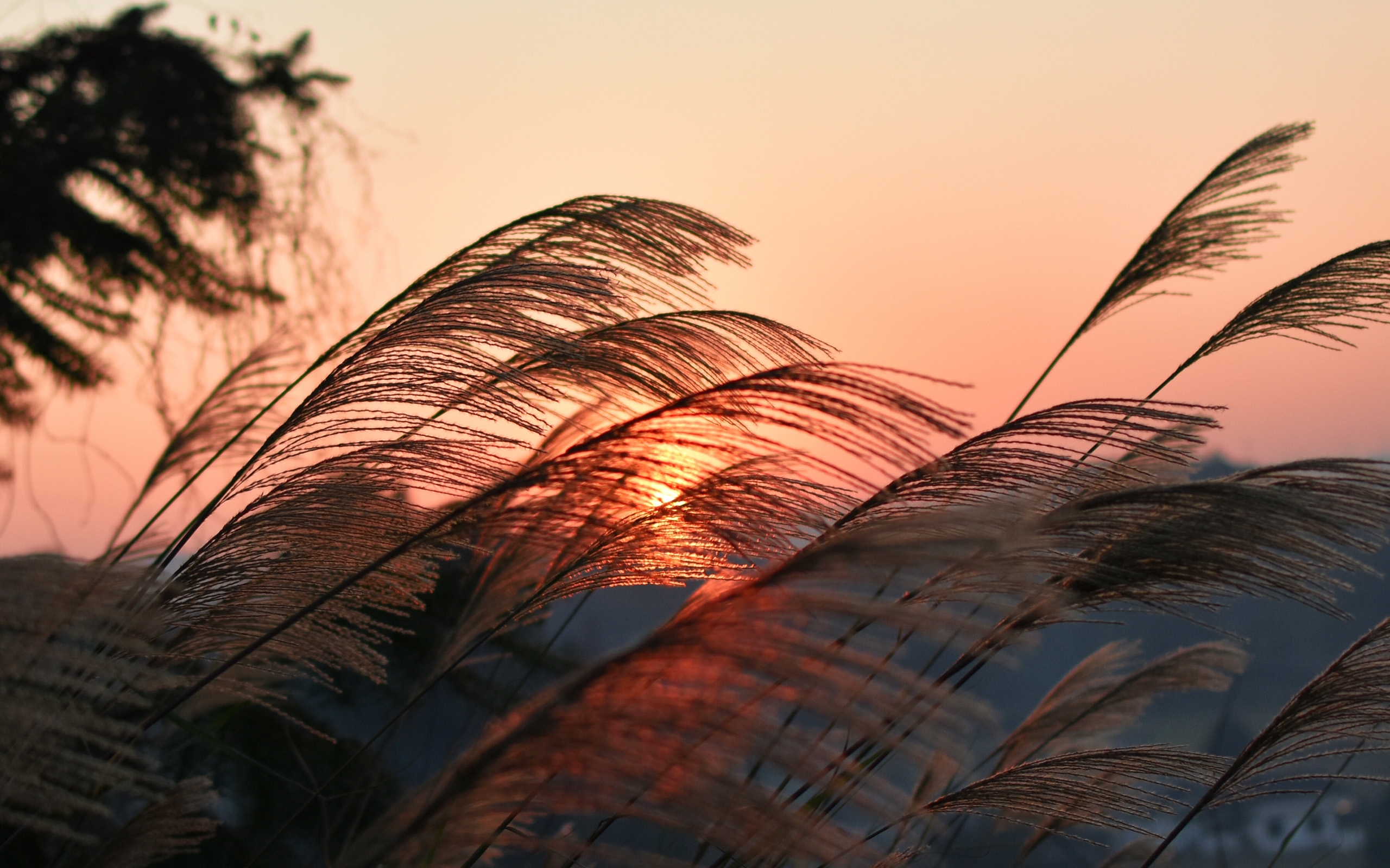 浪漫迷人的落日景色