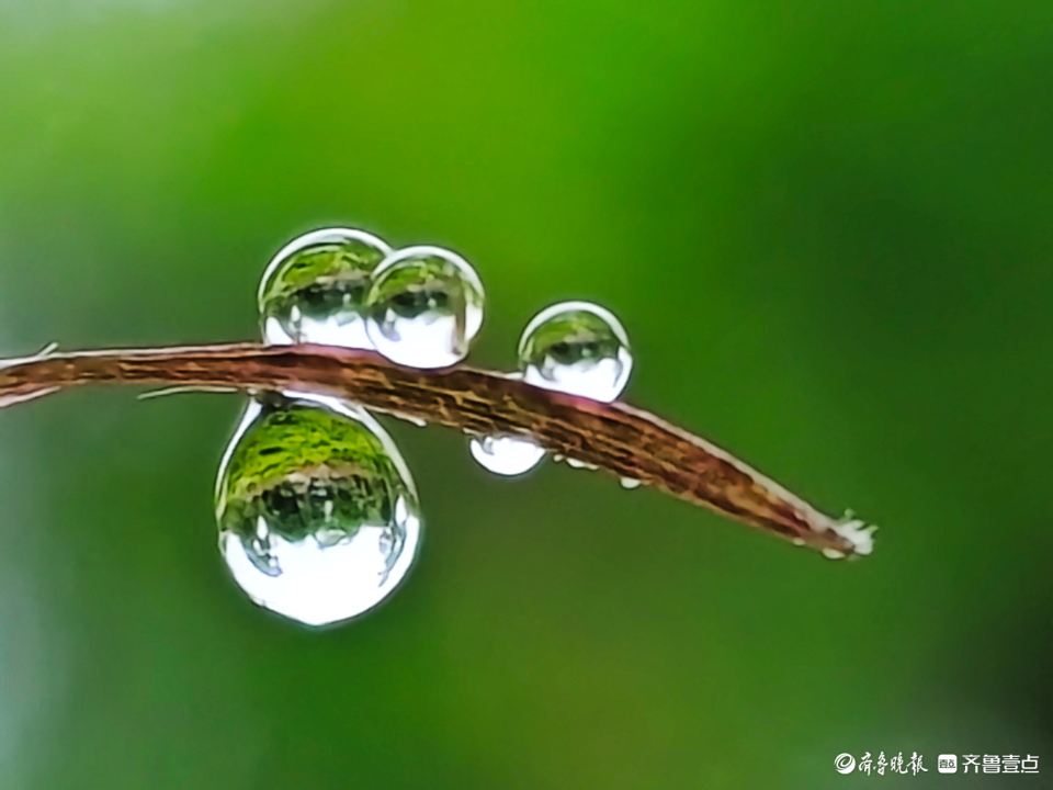 晶莹剔透 露珠 水晶图片