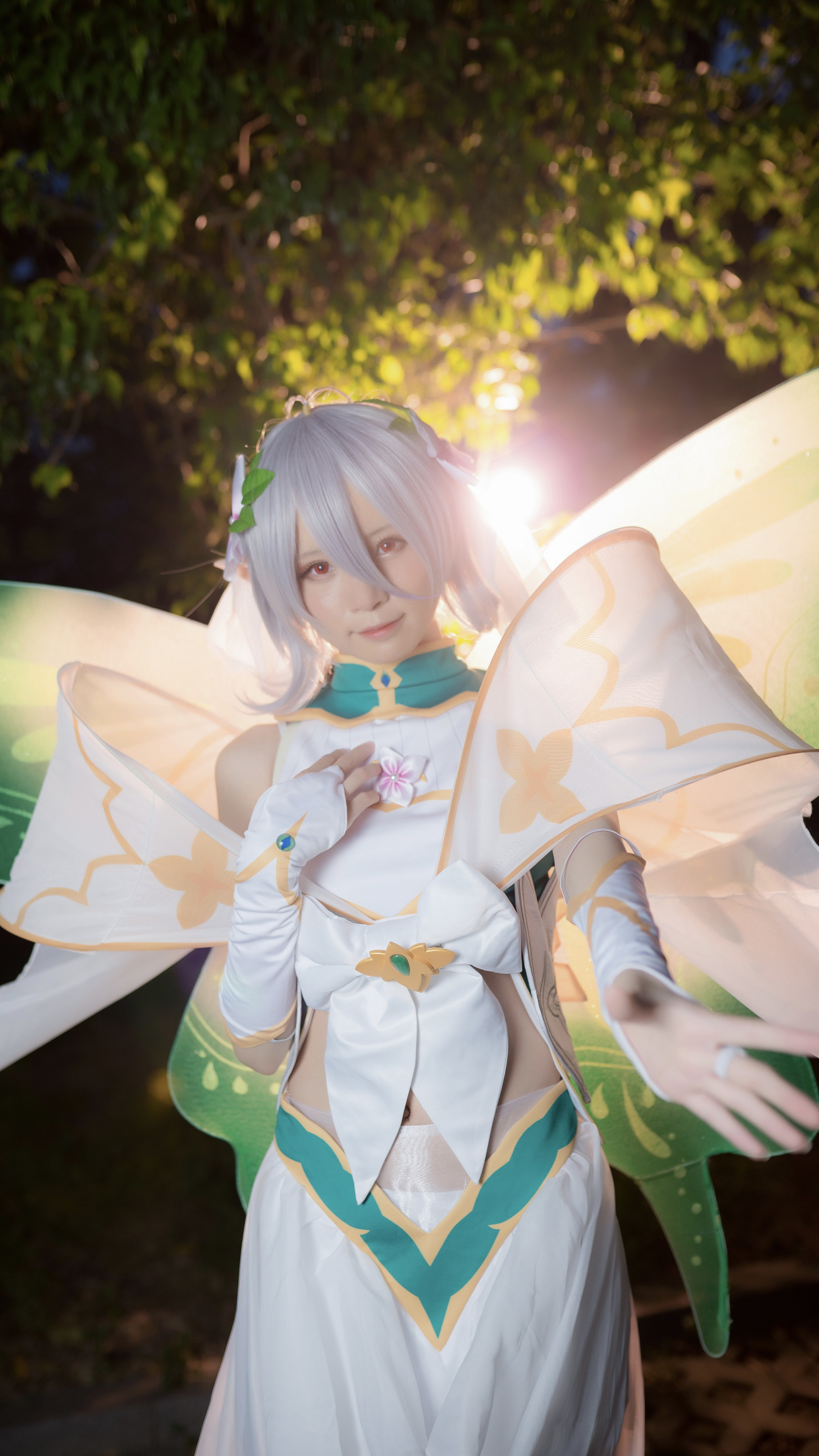 可可萝月光蝶cos