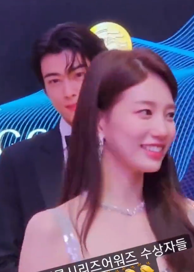 组图:车银优裴秀智同框 气质满分画面养眼