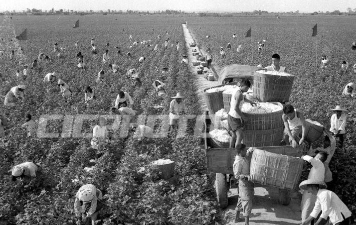 20世纪80-90年代湖南澧县老照片