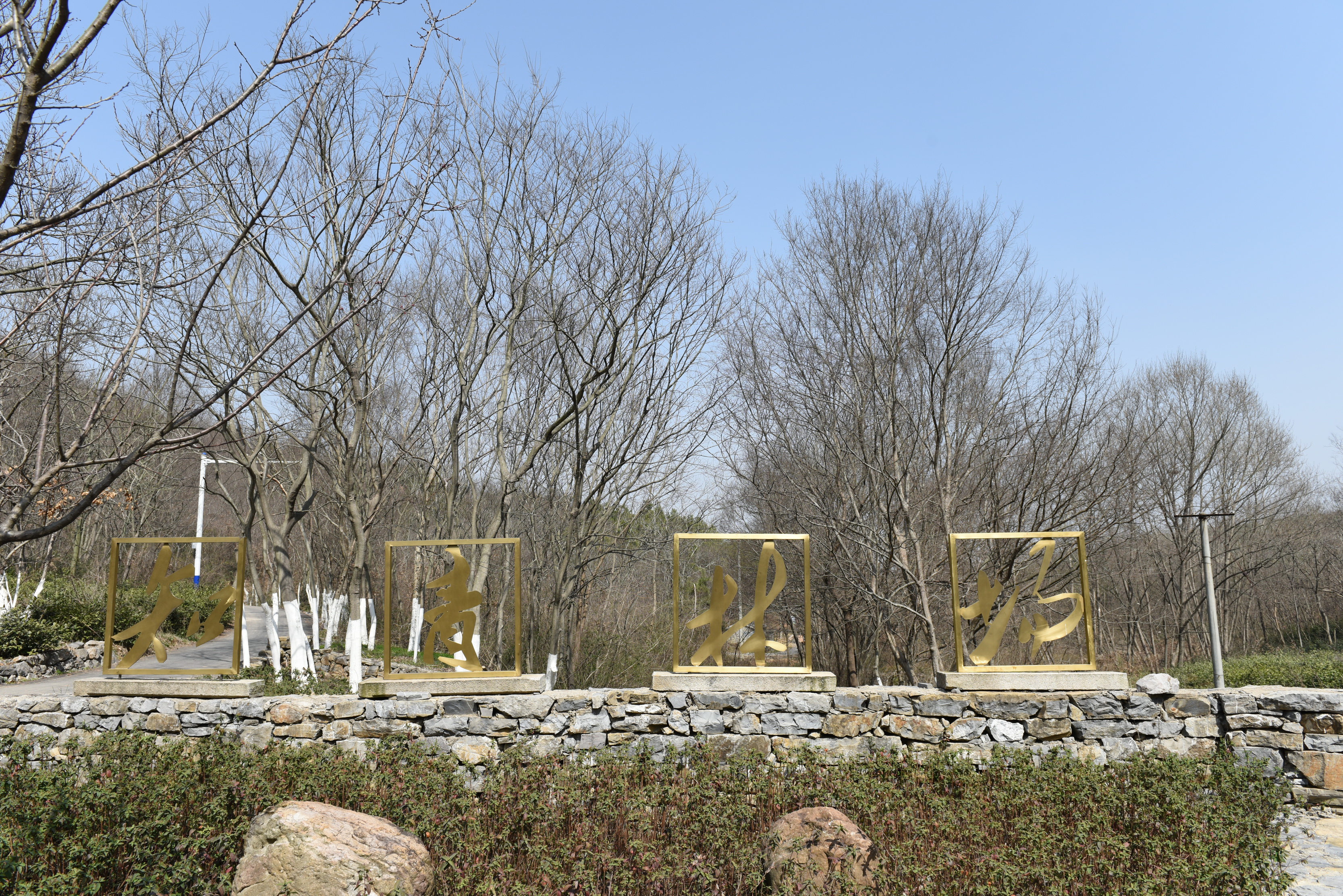 安徽省马鞍山市含山县褒禅山知青广场