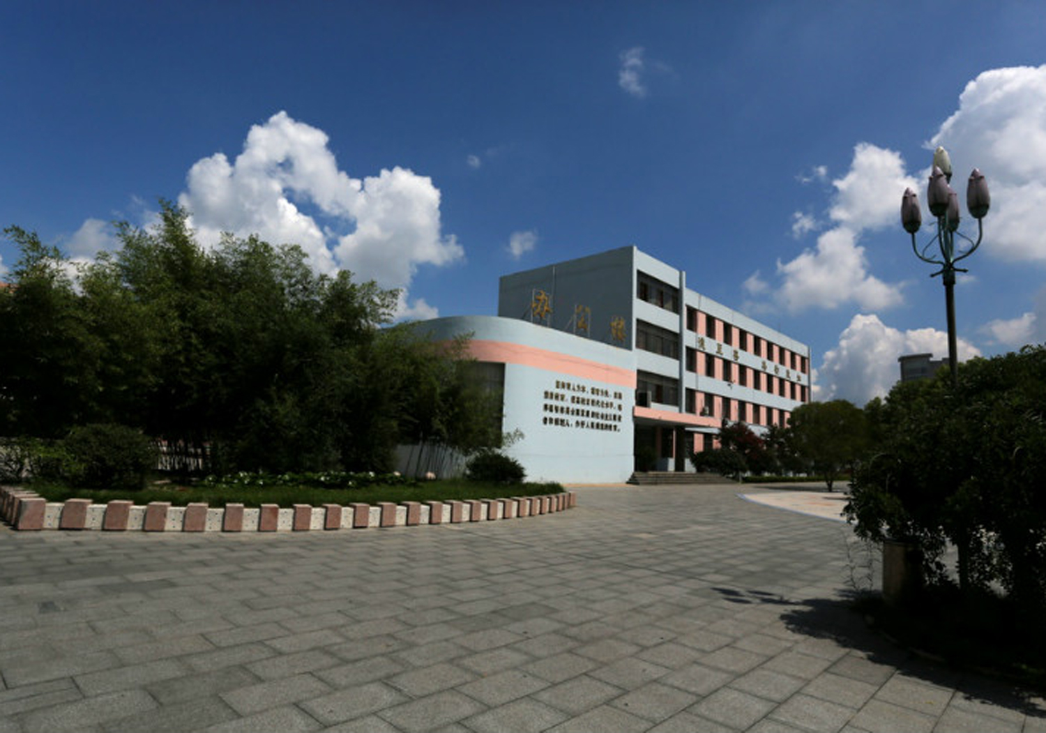 临沭县实验中学:美丽校园,我的家