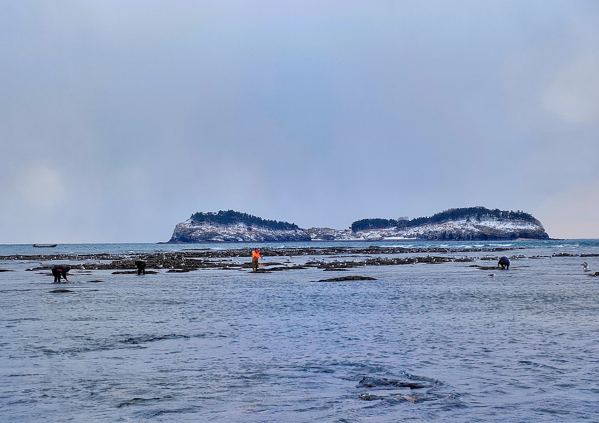 冬季的付家庄海水浴场