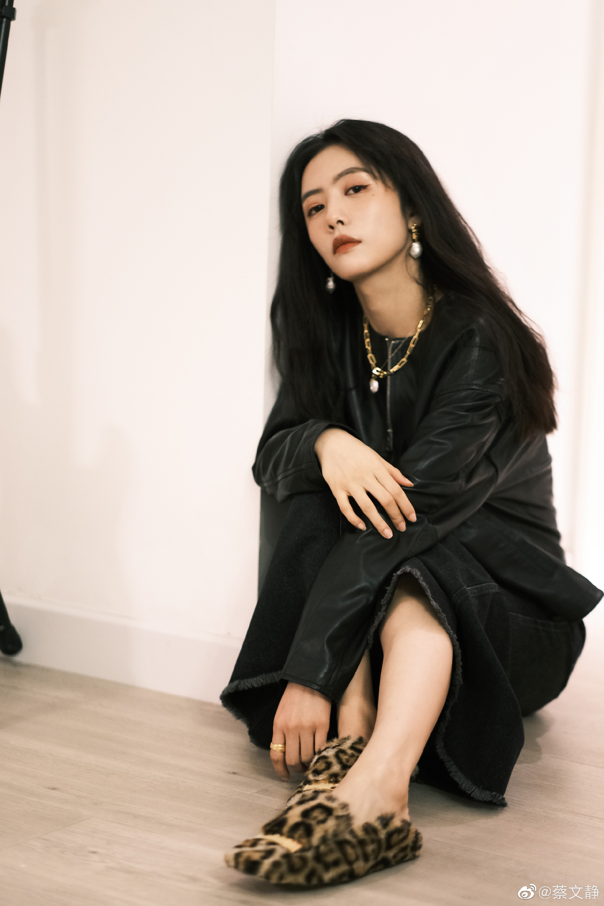 女演员蔡文静