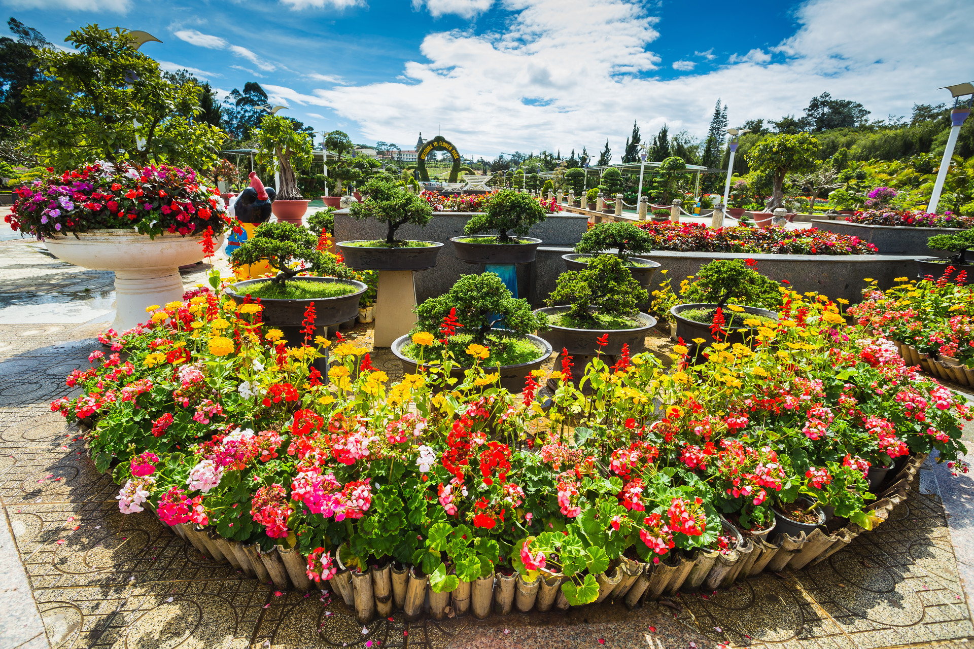 图集:分享一组精美的花园壁纸,赶紧收藏吧!