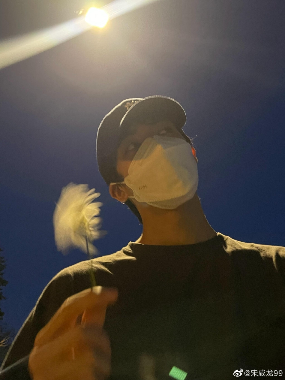 组图:宋威龙晒六宫格街头随拍 手拿小雏菊少年感十足