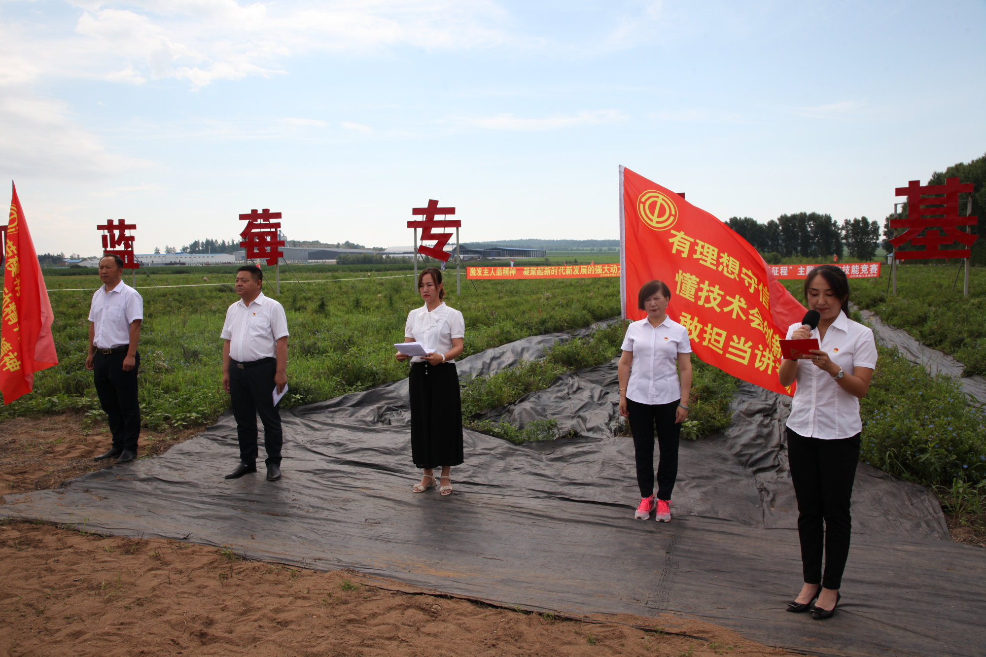 北大荒集团山河农场有限公司蓝莓丰收