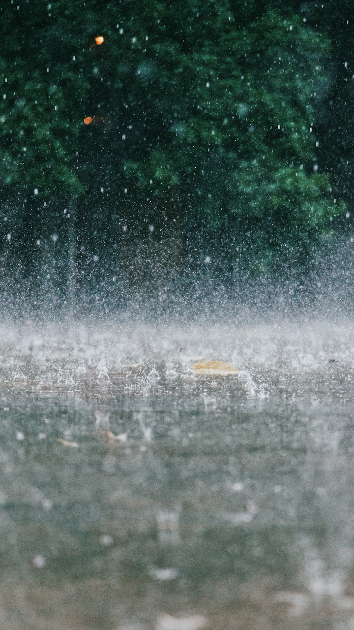 落雨哀伤图片