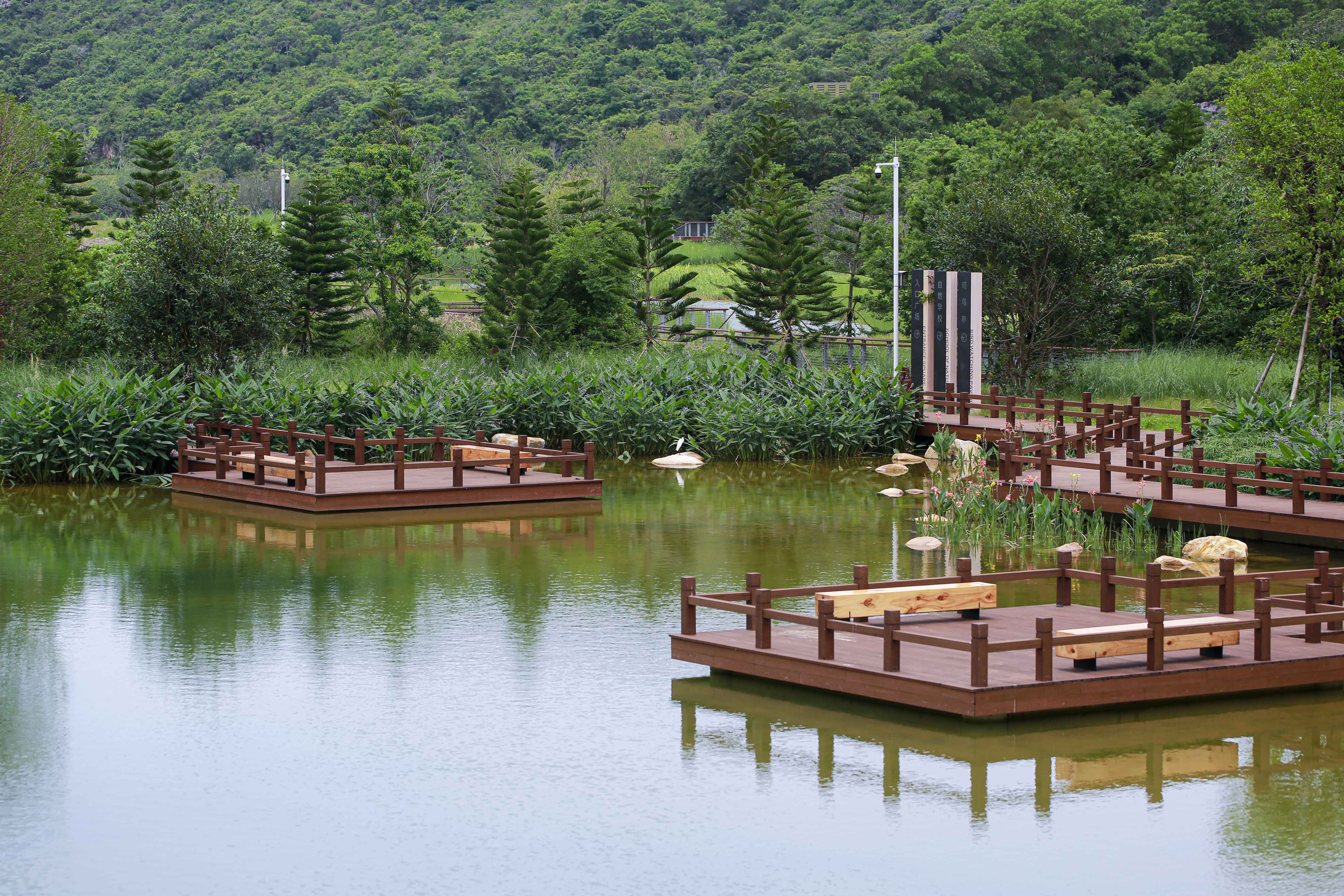广州东涌绿道湿地公园图片