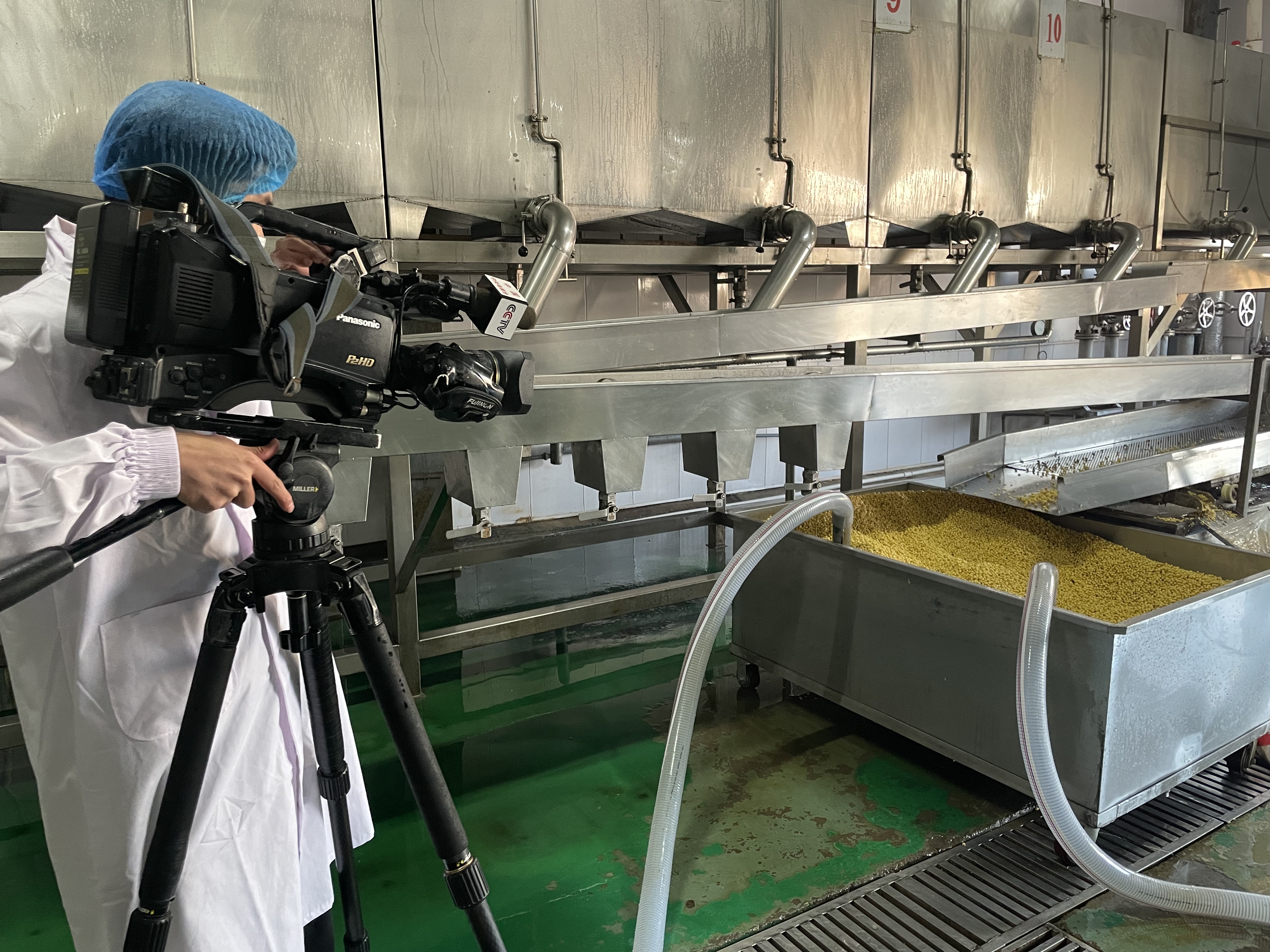 央17走进豆华天宝生产车间