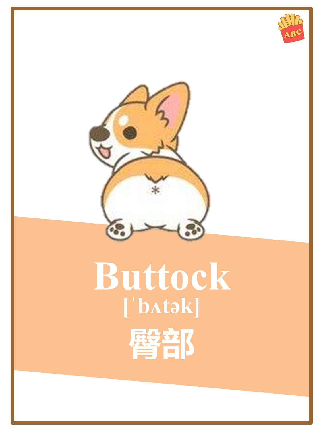 学会腰髋臀腿的英语单词,教你听懂老外的健身视频