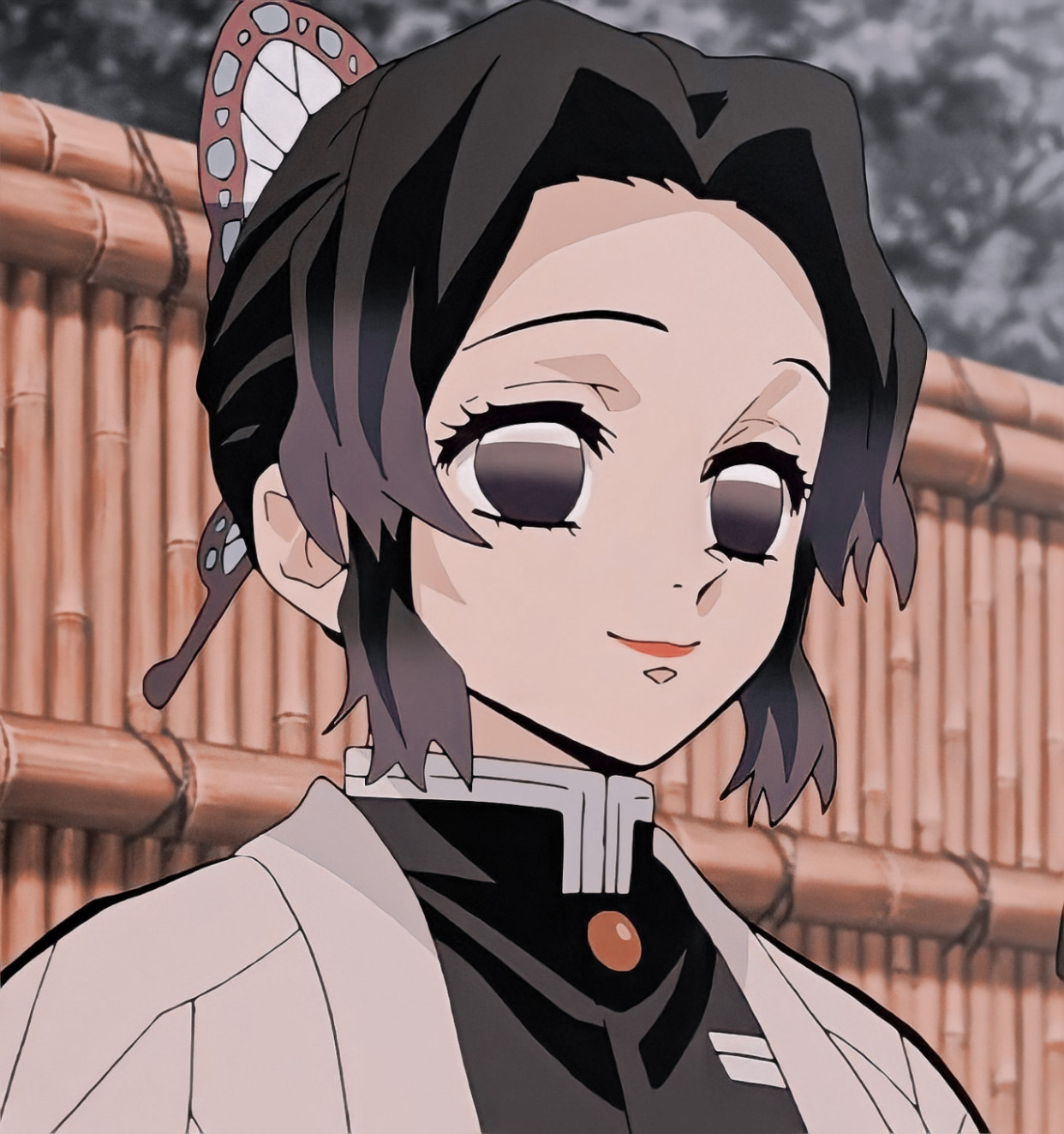 「第1期」动漫女头:鬼灭之刃 蝴蝶忍