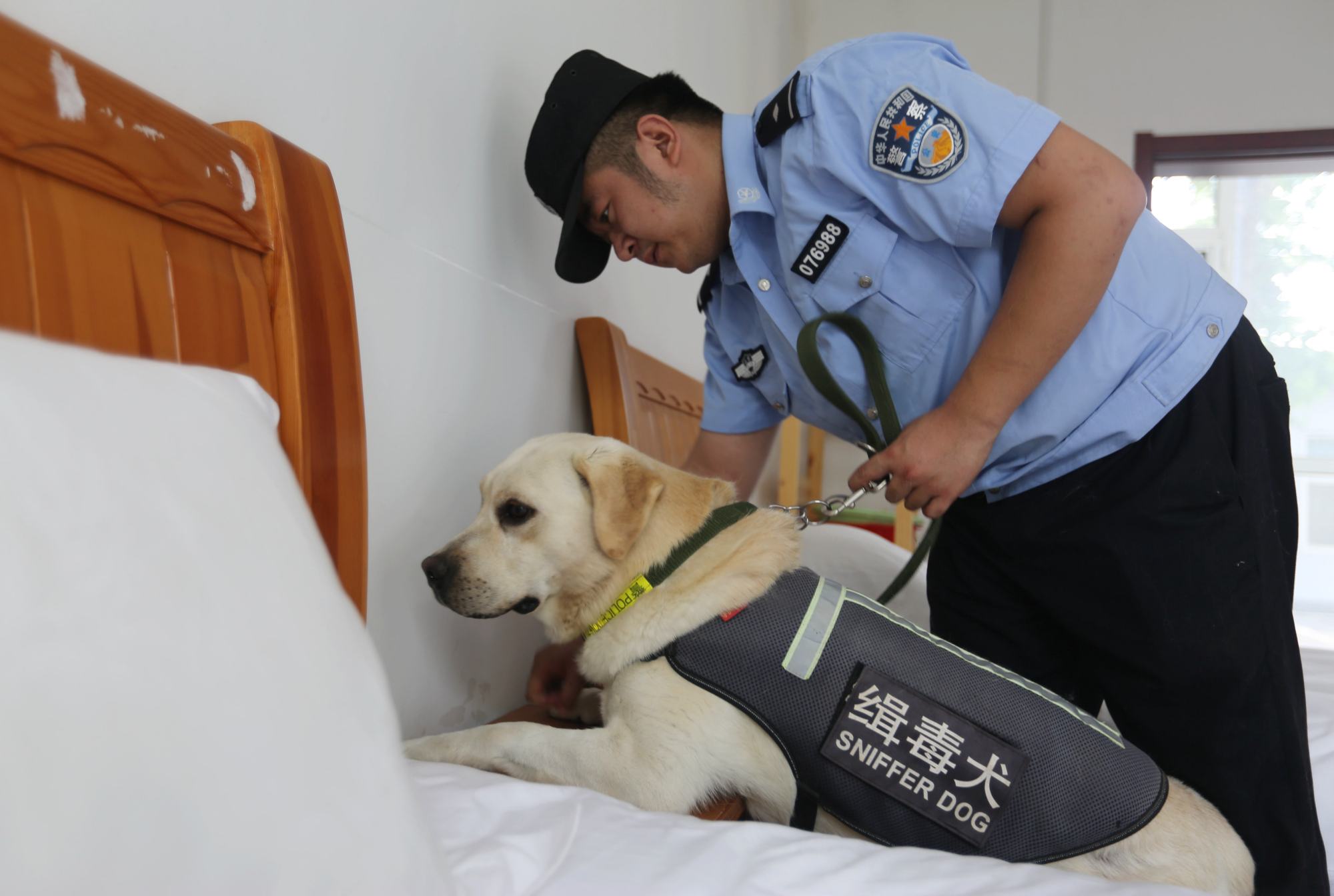 缉毒警犬亮身手