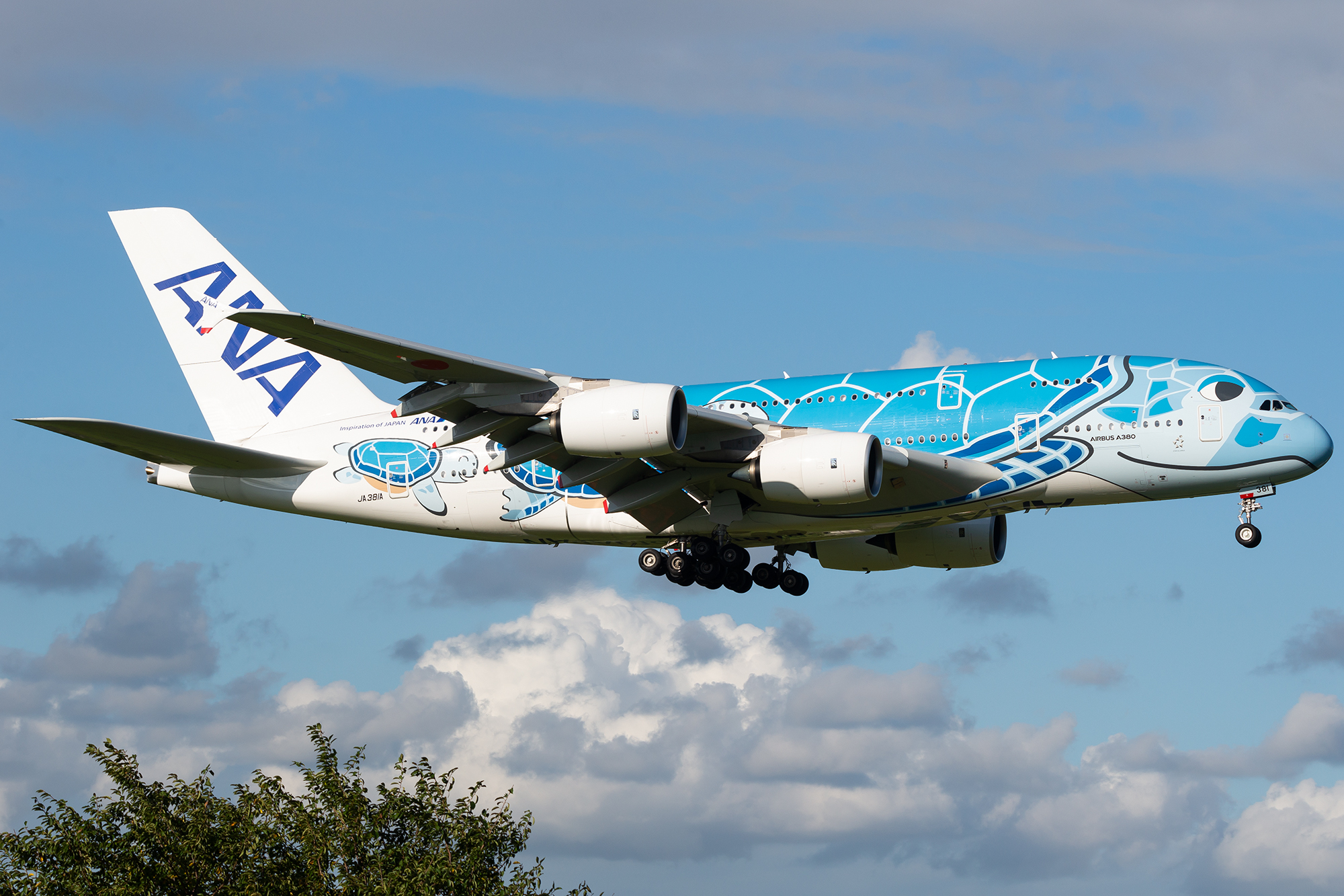 展翅飞翔的三色海龟:全日空a380客机「高清图集」