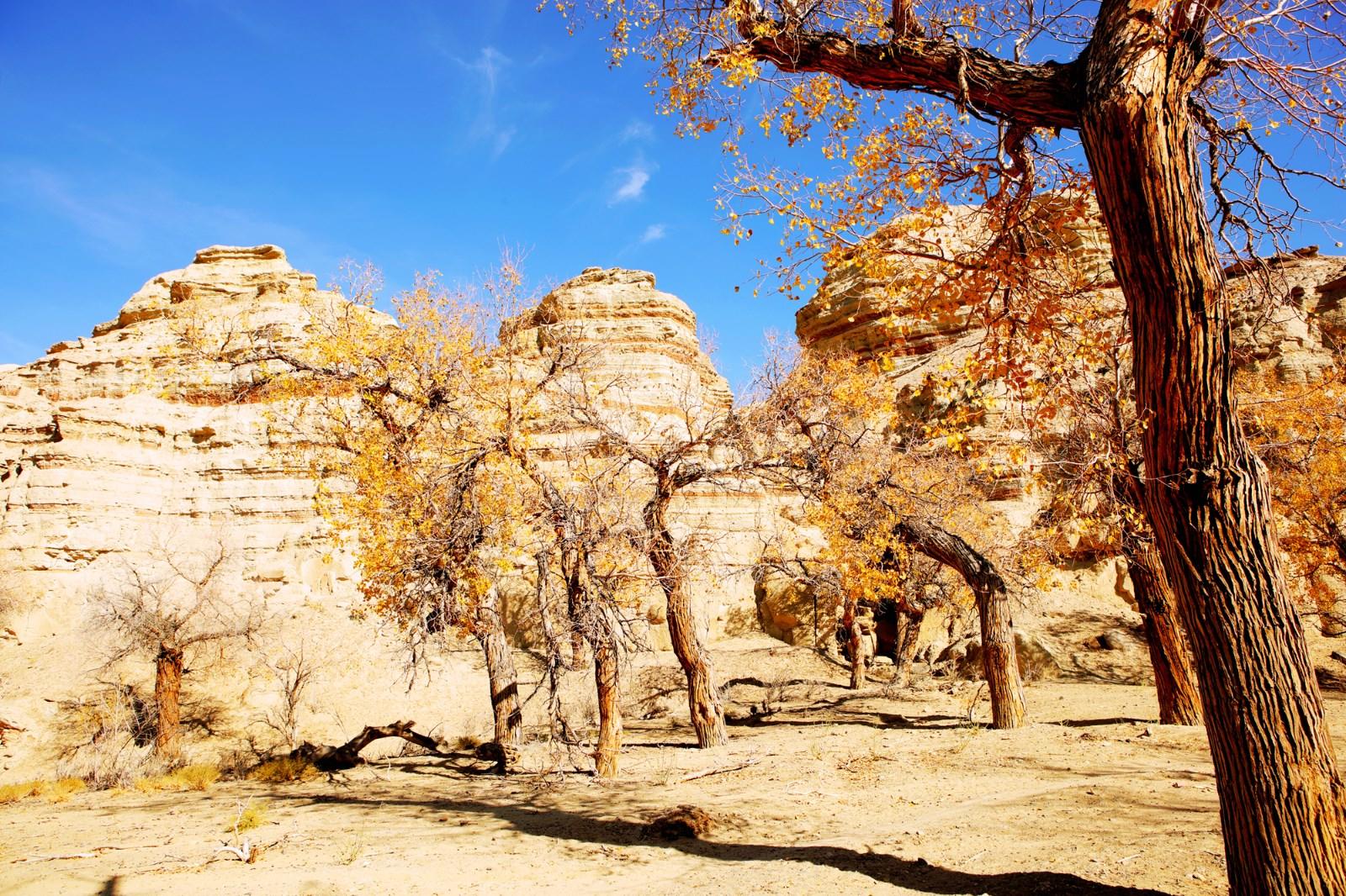 风光摄影:新疆白杨河大峡谷