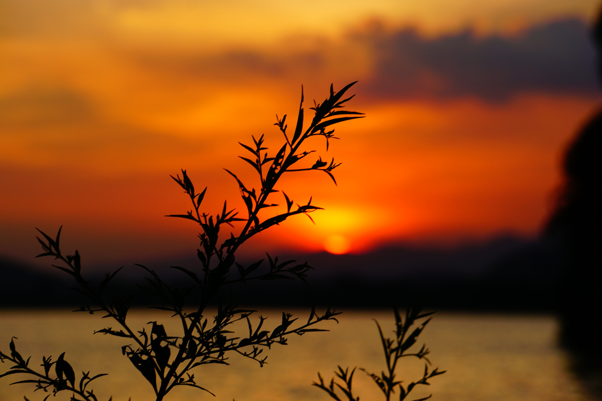 今日美图:夕阳无限好