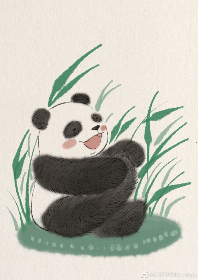 熊猫侧面插画图片
