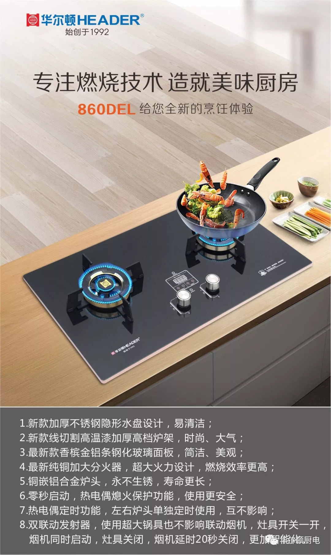 华尔顿厨电——每日热卖 燃气灶860del