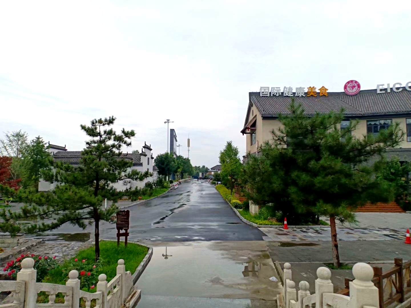 我眼中最美的村庄——保定竞秀区大激店村