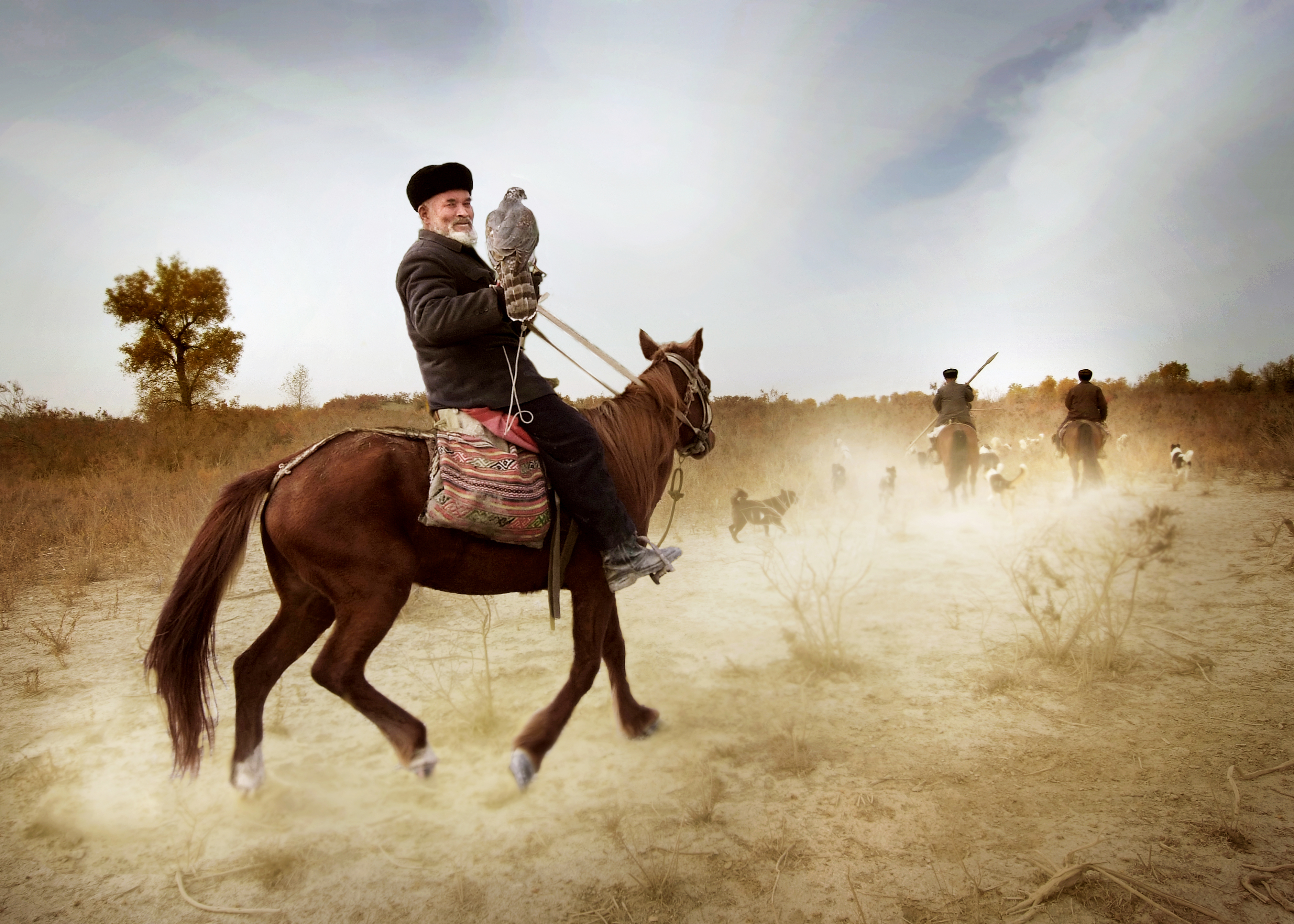 沙雅胡杨林深处的牧羊人家