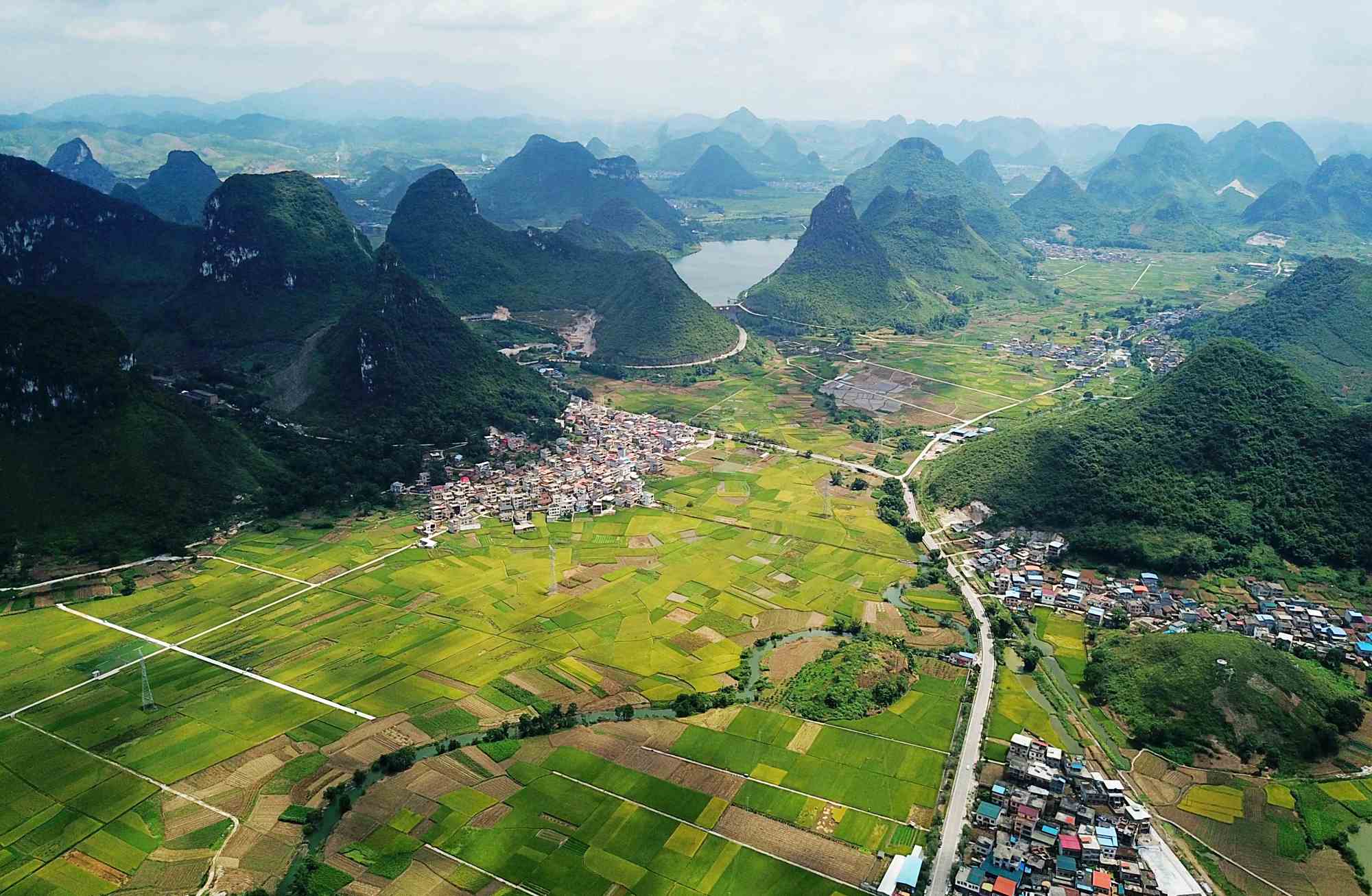广西河池罗城:夏日田园景如画