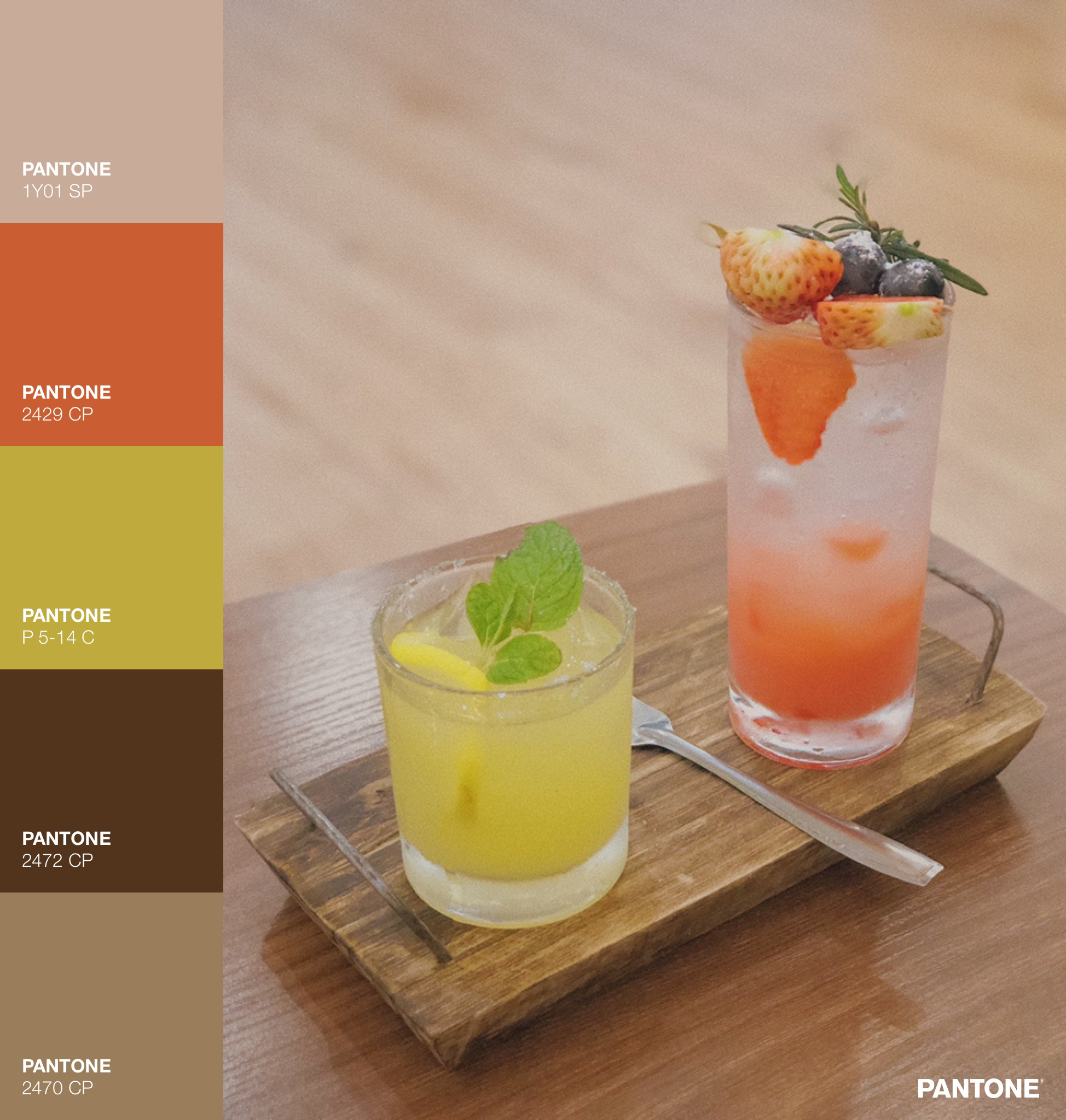 生活中的色彩系统