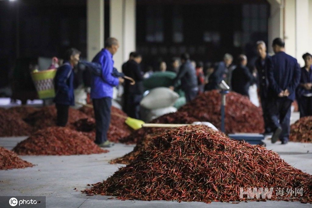 虾子辣椒市场图片