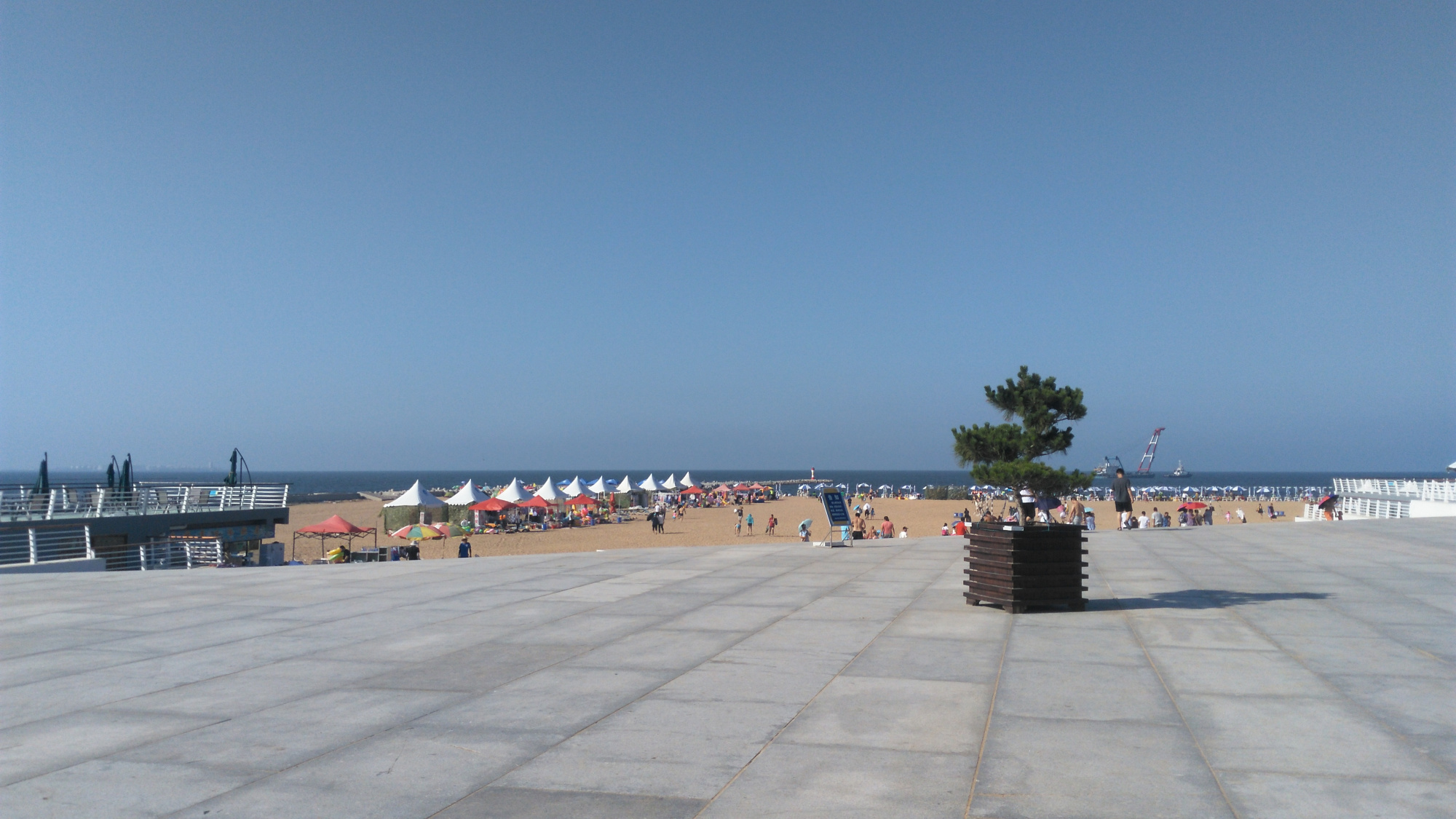 山东潍坊市滨海海洋公园实拍,带你们去看看啦