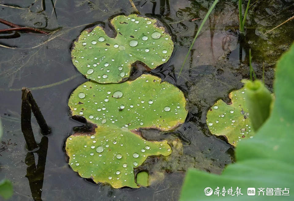 華山湖