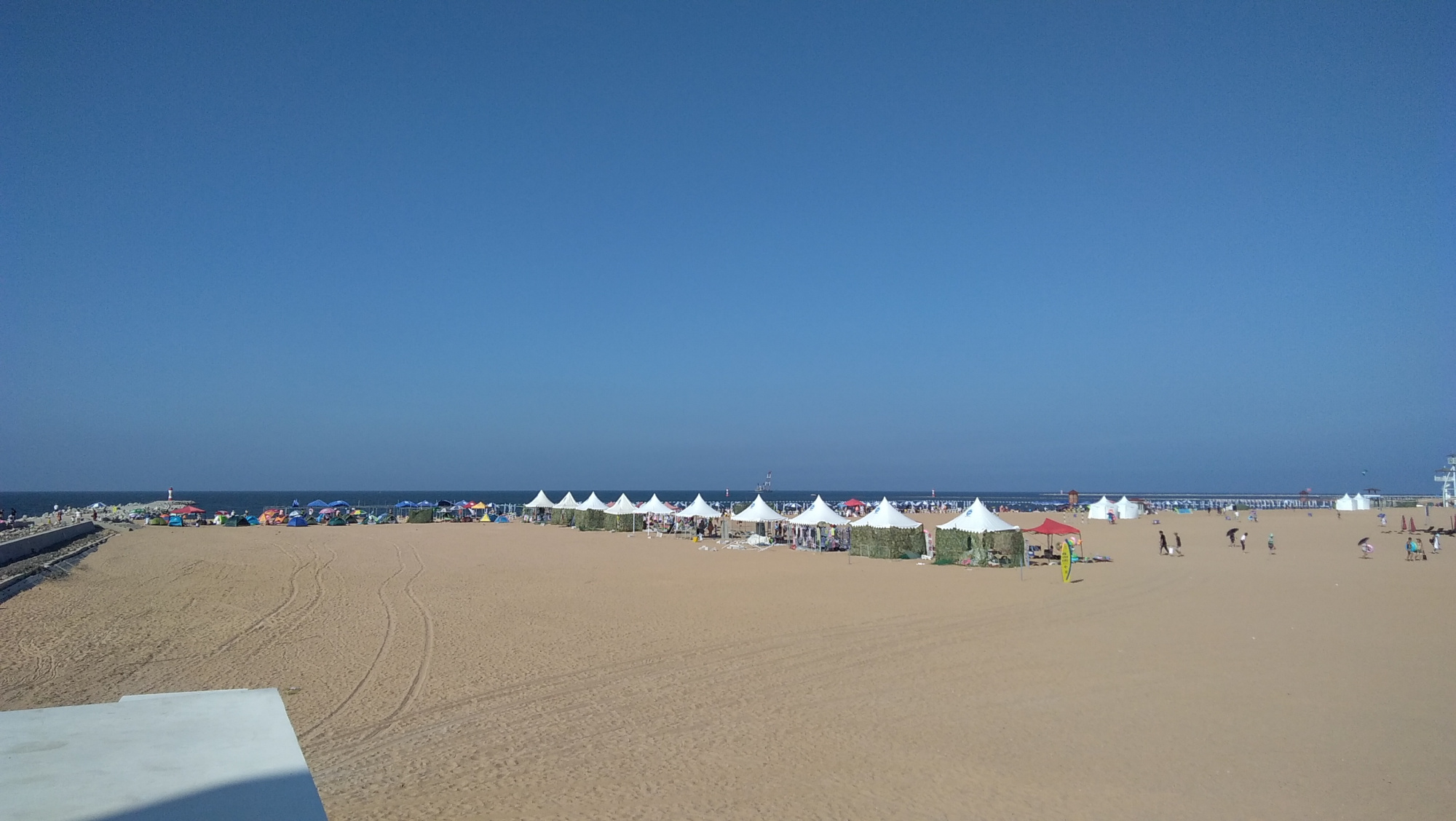 山东潍坊市滨海海洋公园实拍,带你们去看看啦