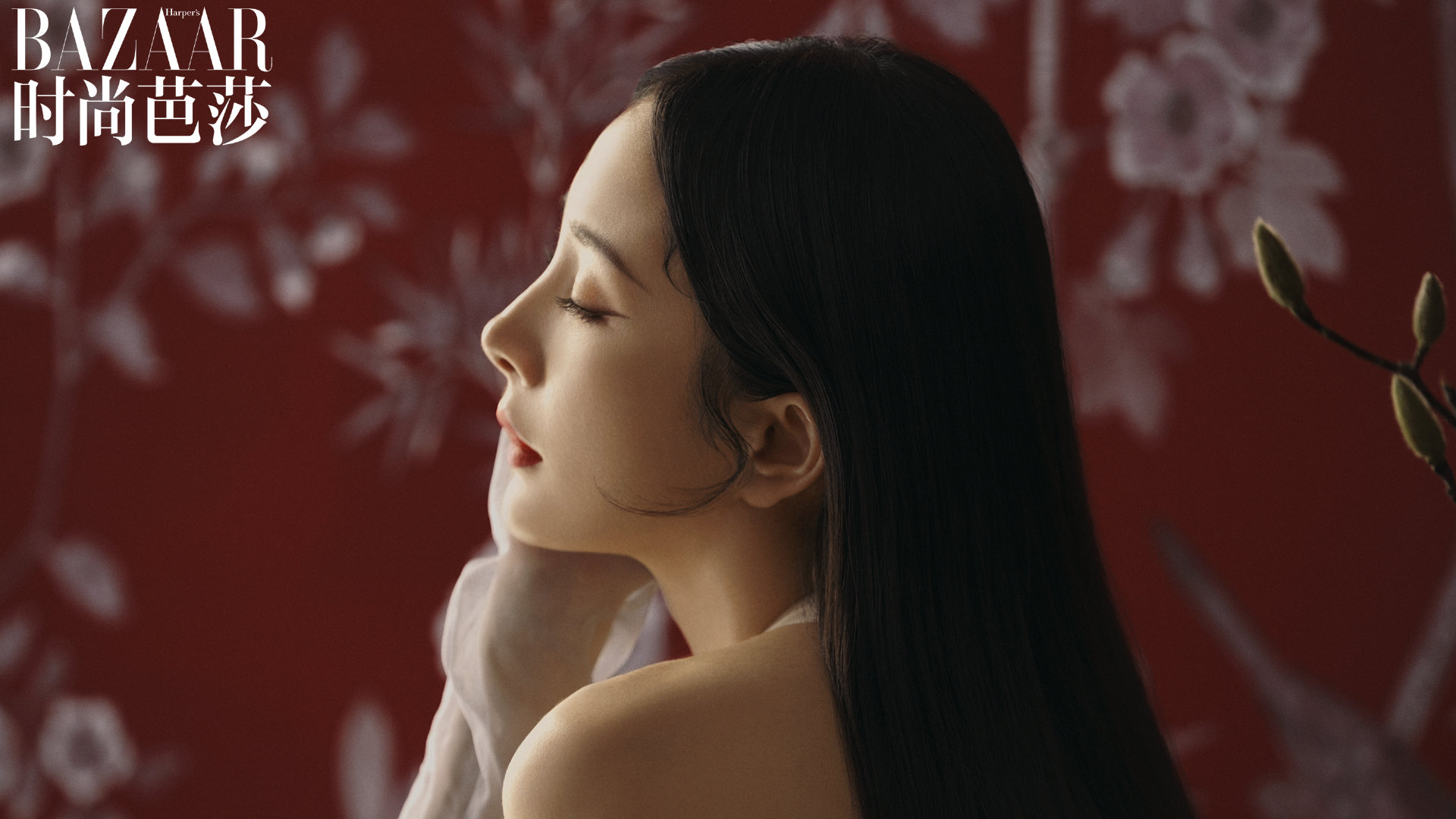 大幂幂真的好美