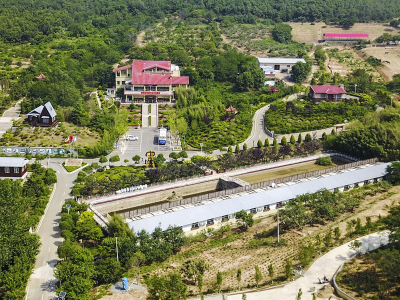 端午去哪儿玩?青岛宝湖马术小镇邀你体验仙境氧吧