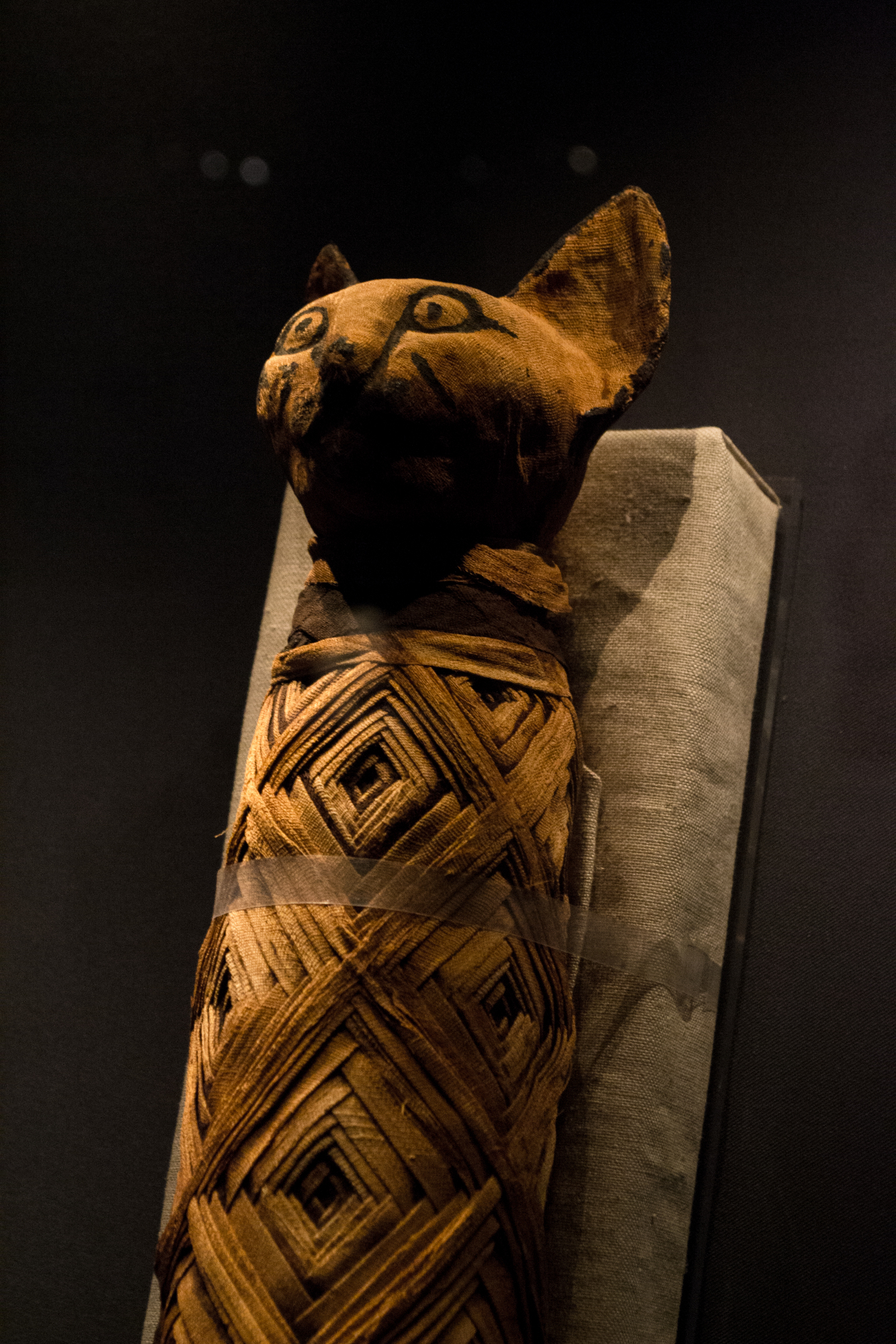 珍贵古埃及文物国内展:带你揭开古埃及神秘面纱