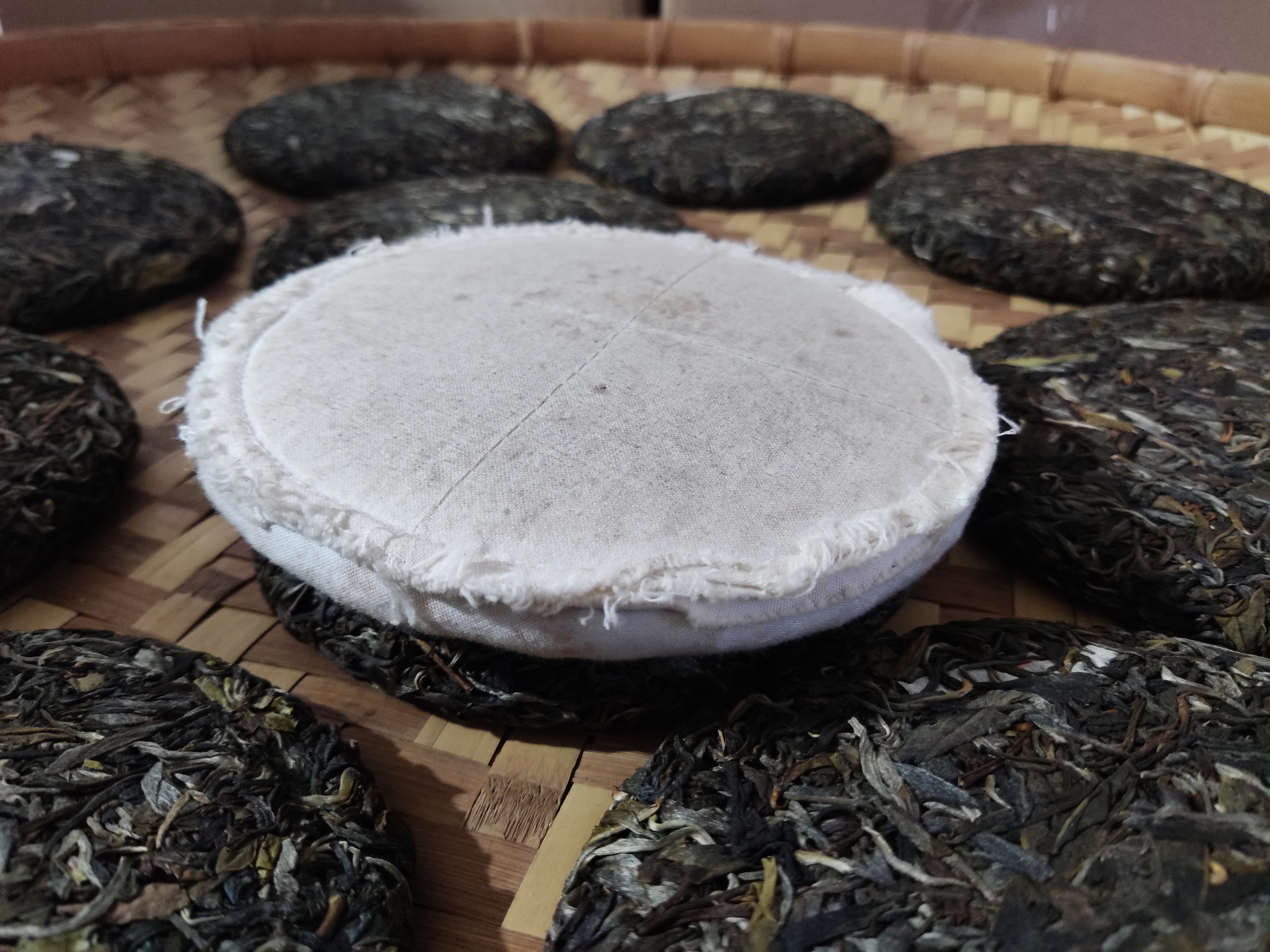 普洱镇沅九甲千家寨2022年古树春茶饼