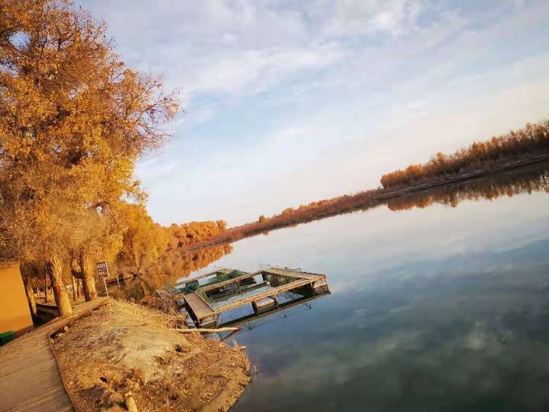 新疆沙雅县月亮湾景色(实拍)