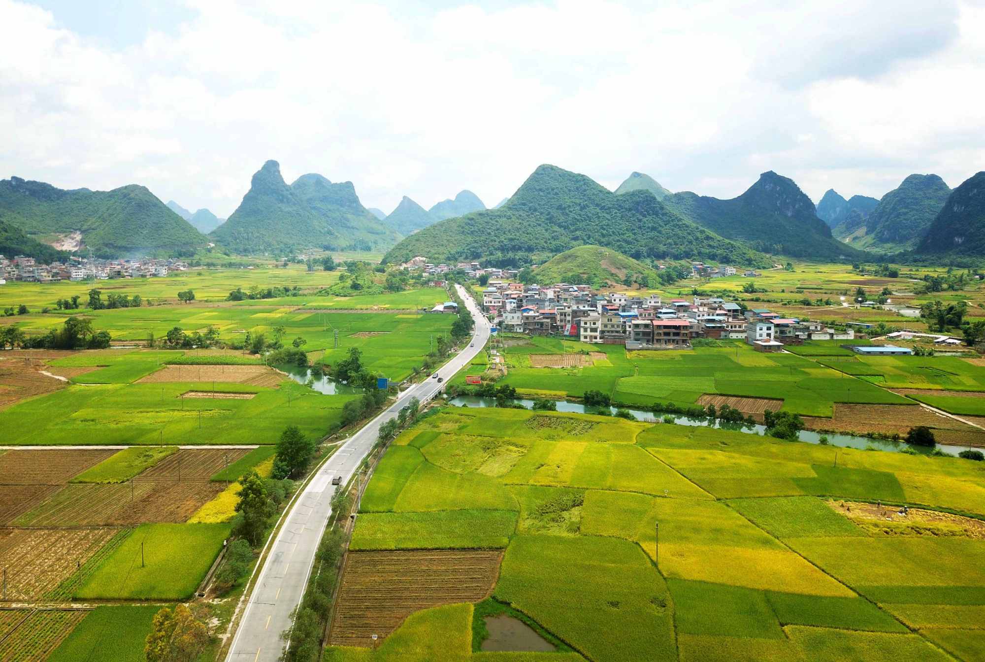 广西河池罗城:夏日田园景如画