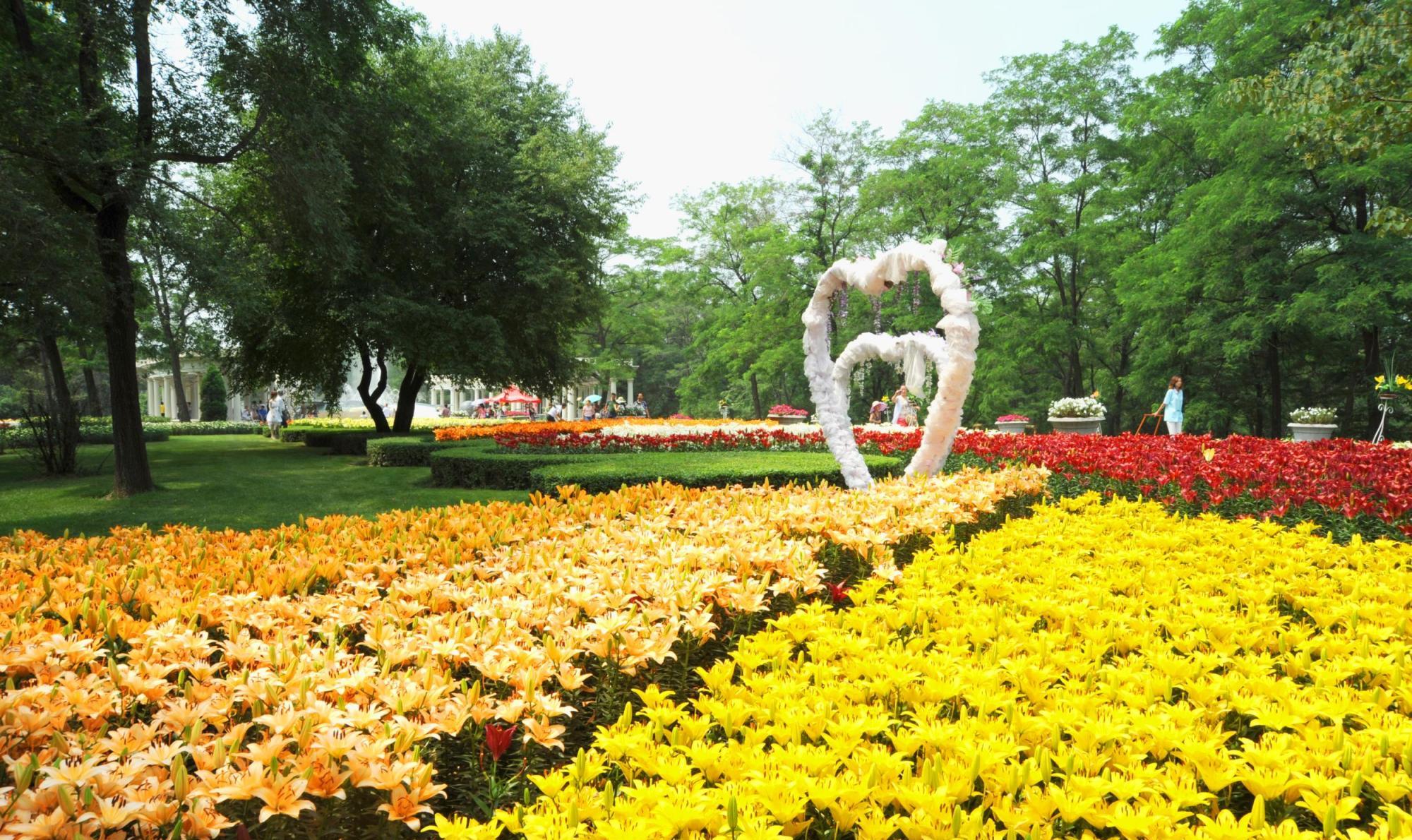 辽宁沈阳植物园,这地方别漏了,太美了