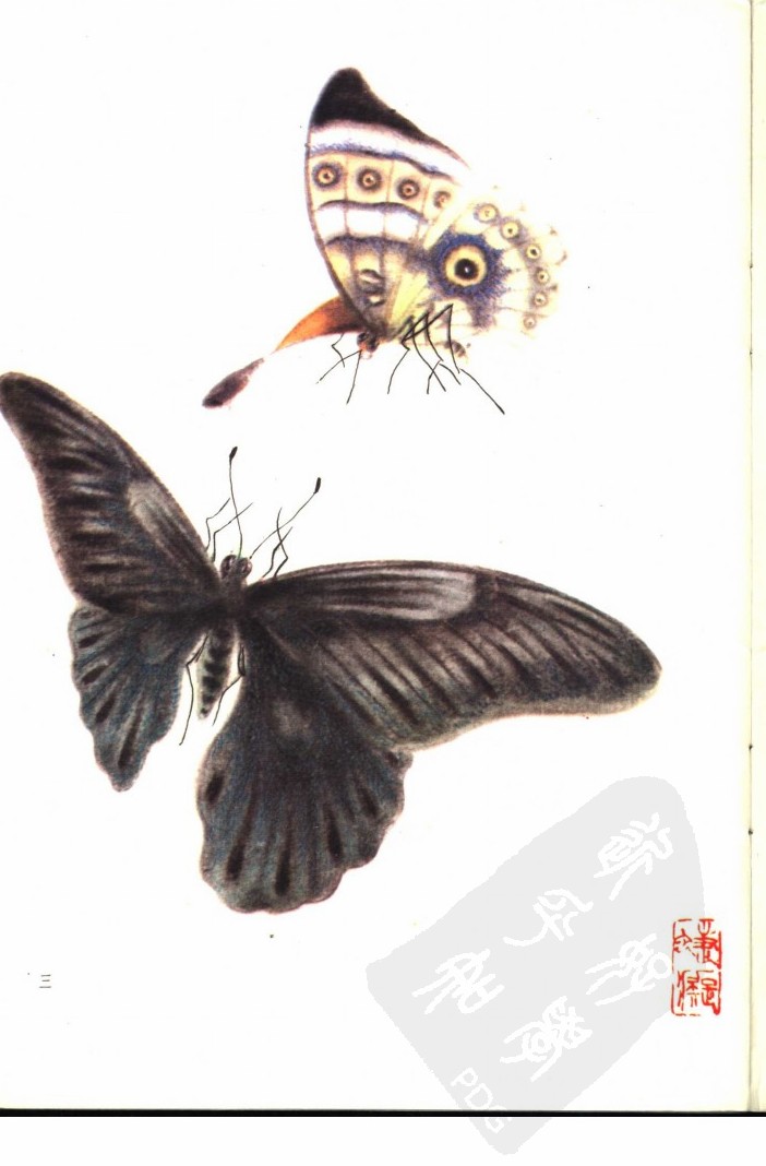 画家笔下的蝴蝶,栩栩如生「中远博学书画教育」