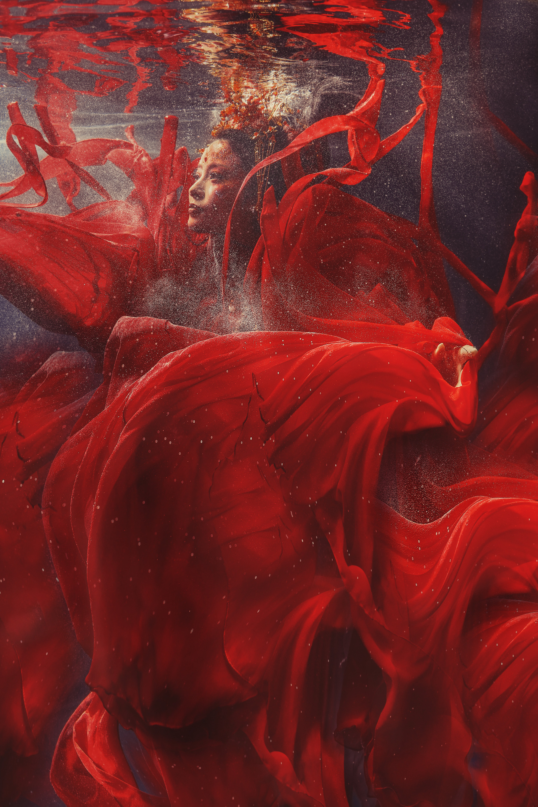 《山海经》鮯鮯之鱼