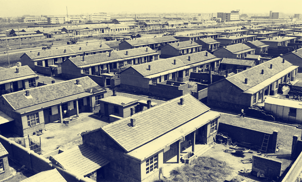 50年前的东营照片图片