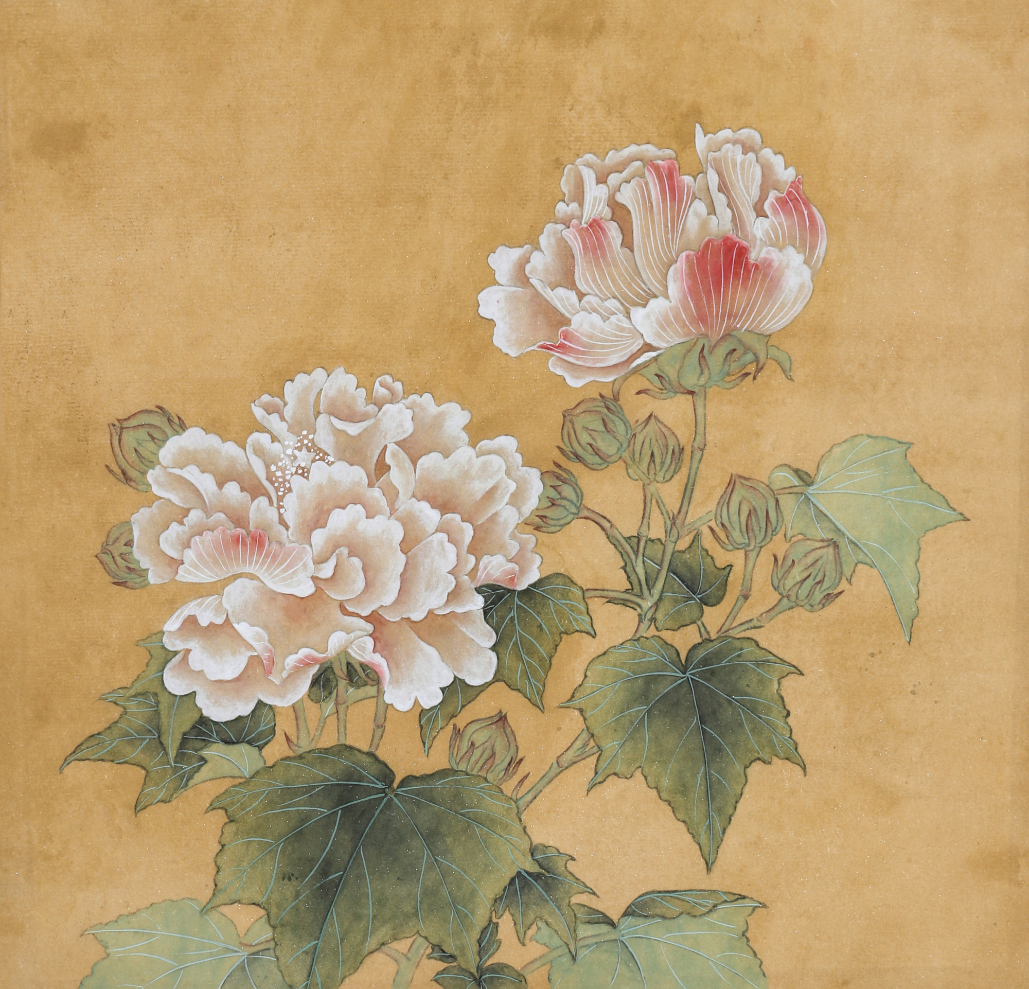 国画 植物 花卉 作品 展示