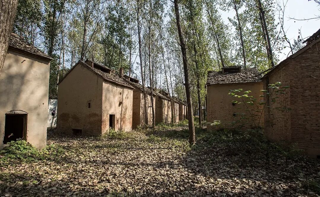 破败的皖北农村,成排土楼显神秘,很多人再也无法返回