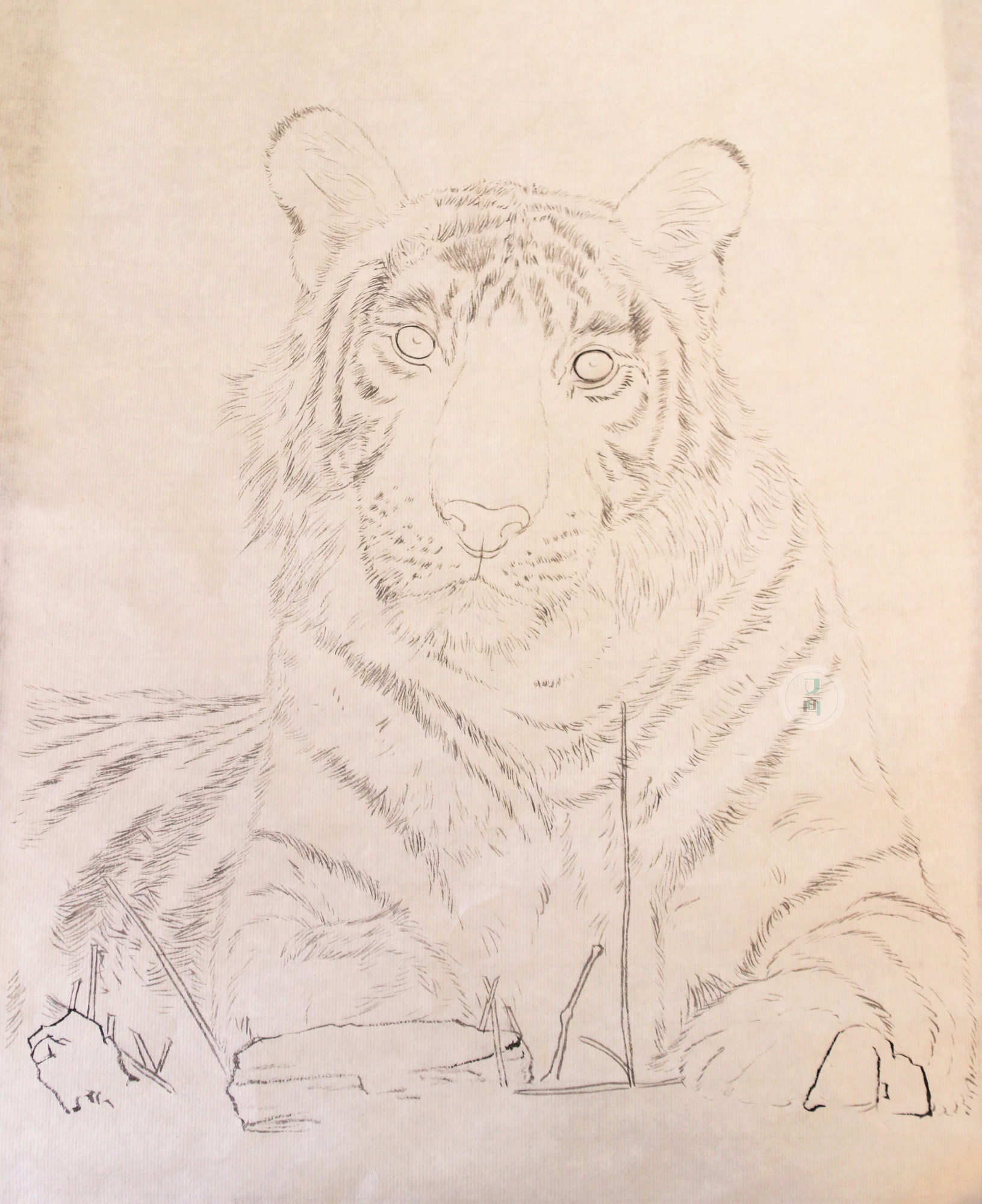 国画 老虎绘画过程分享