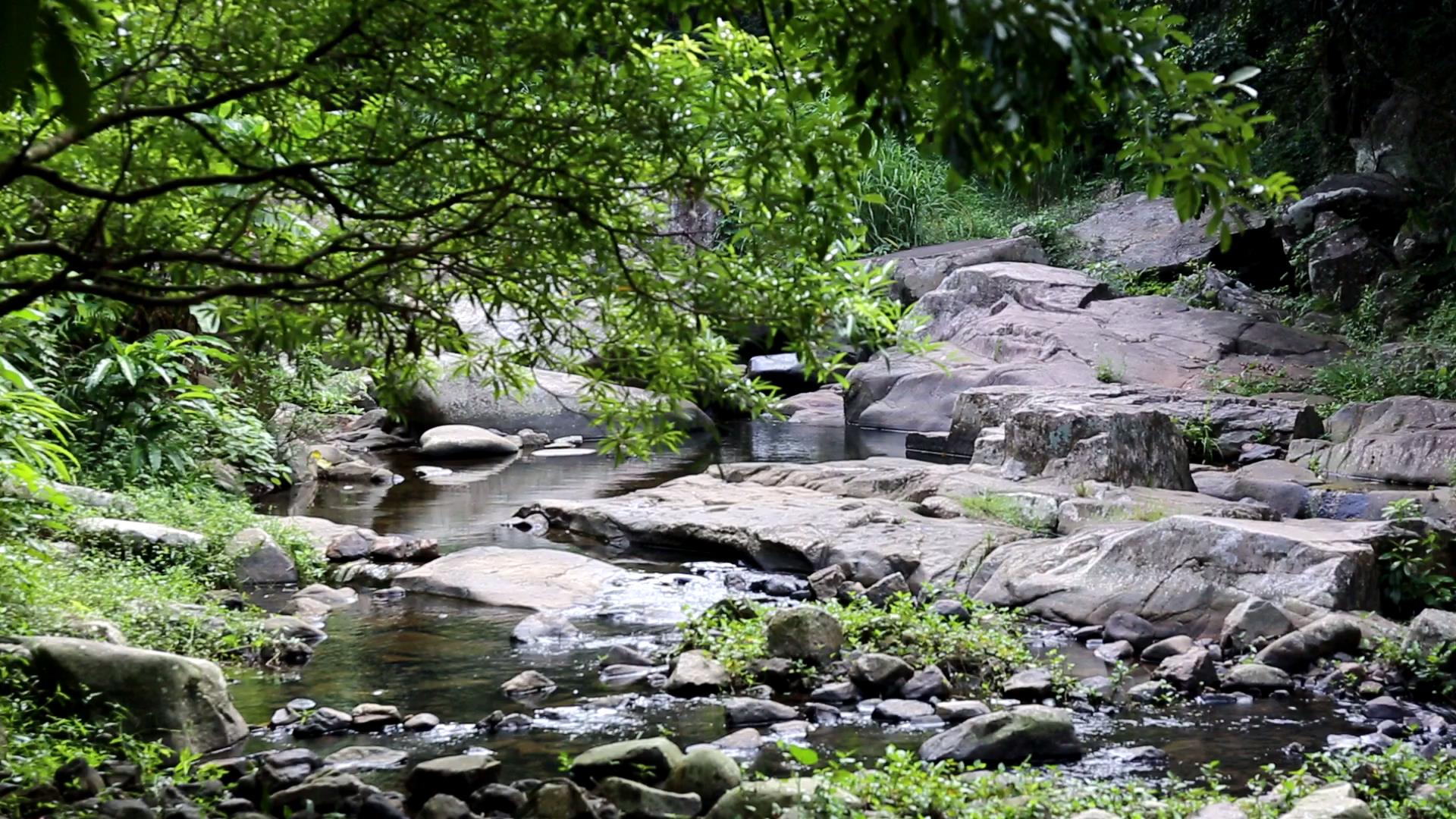 福建灵石山国家森林公园蝴蝶溪