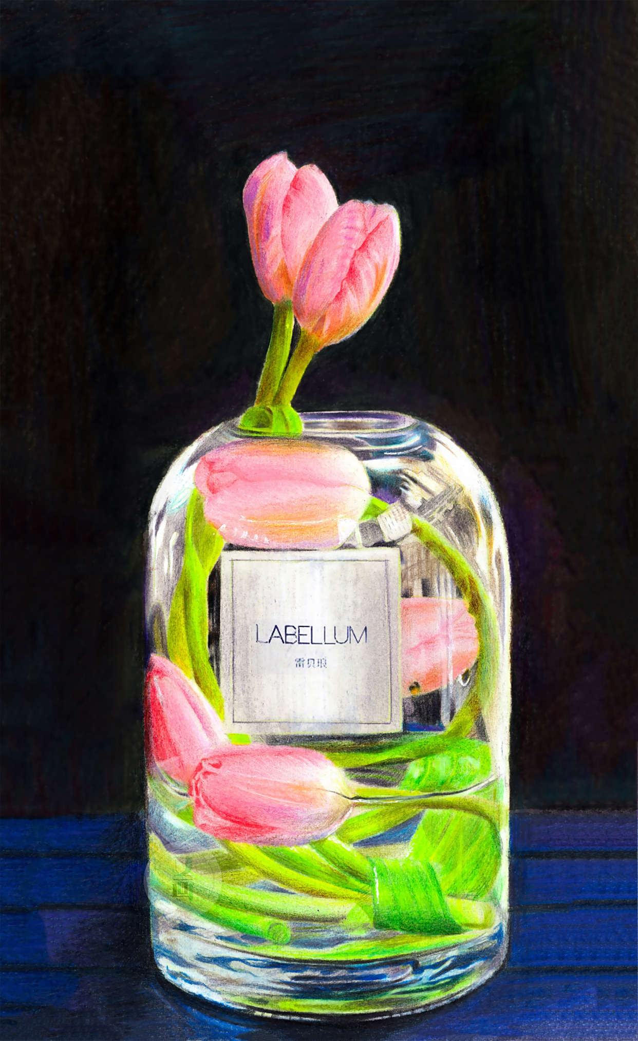 彩铅 瓶中郁金香绘画过程分享